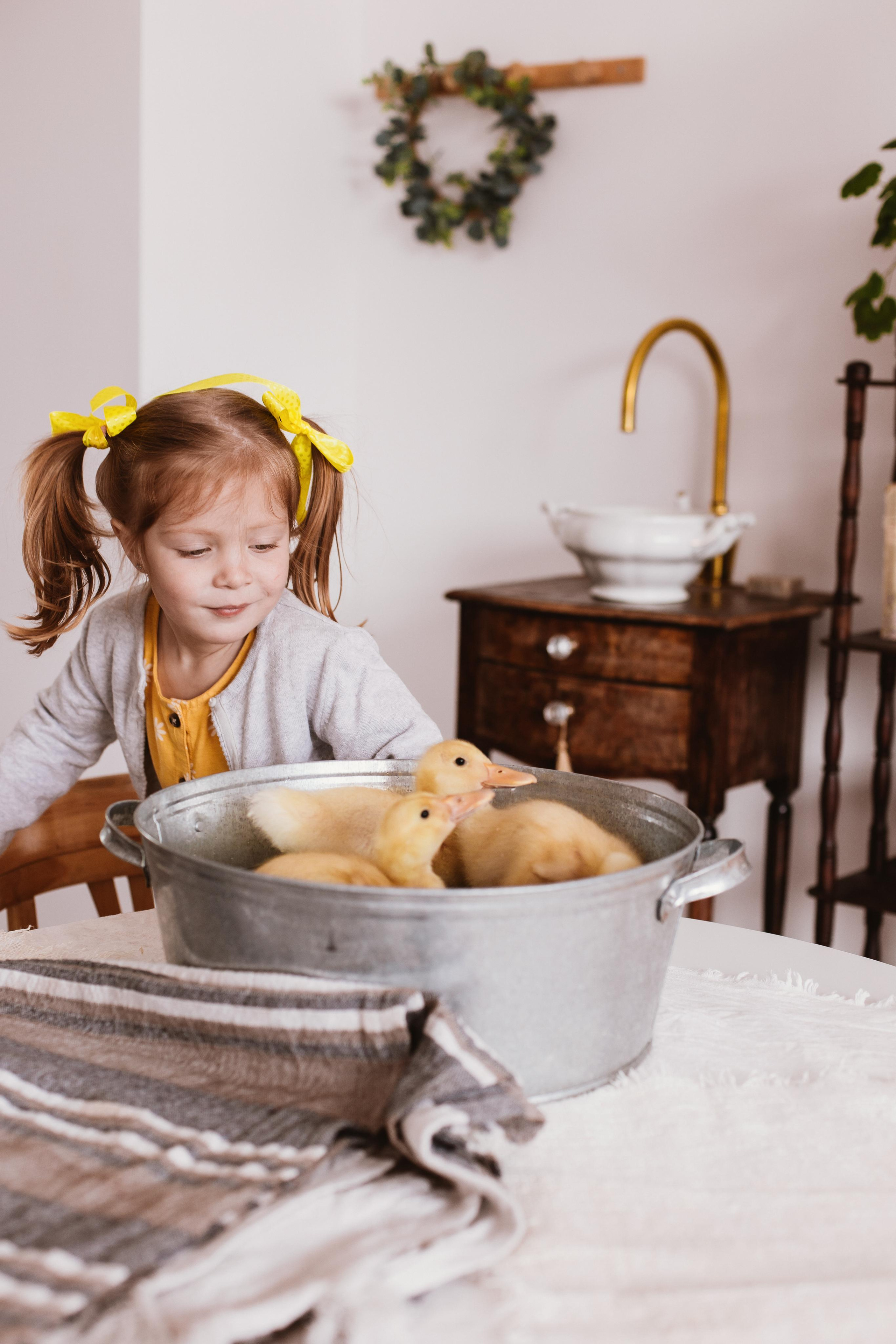 Утята. Креатор Ольга Яш