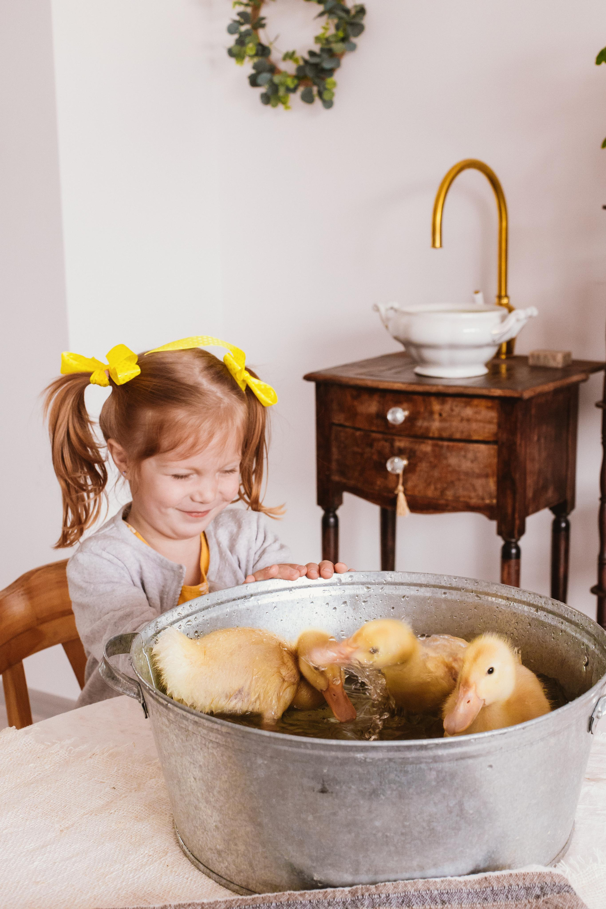 Весна и утята. Креатор Ольга Яш