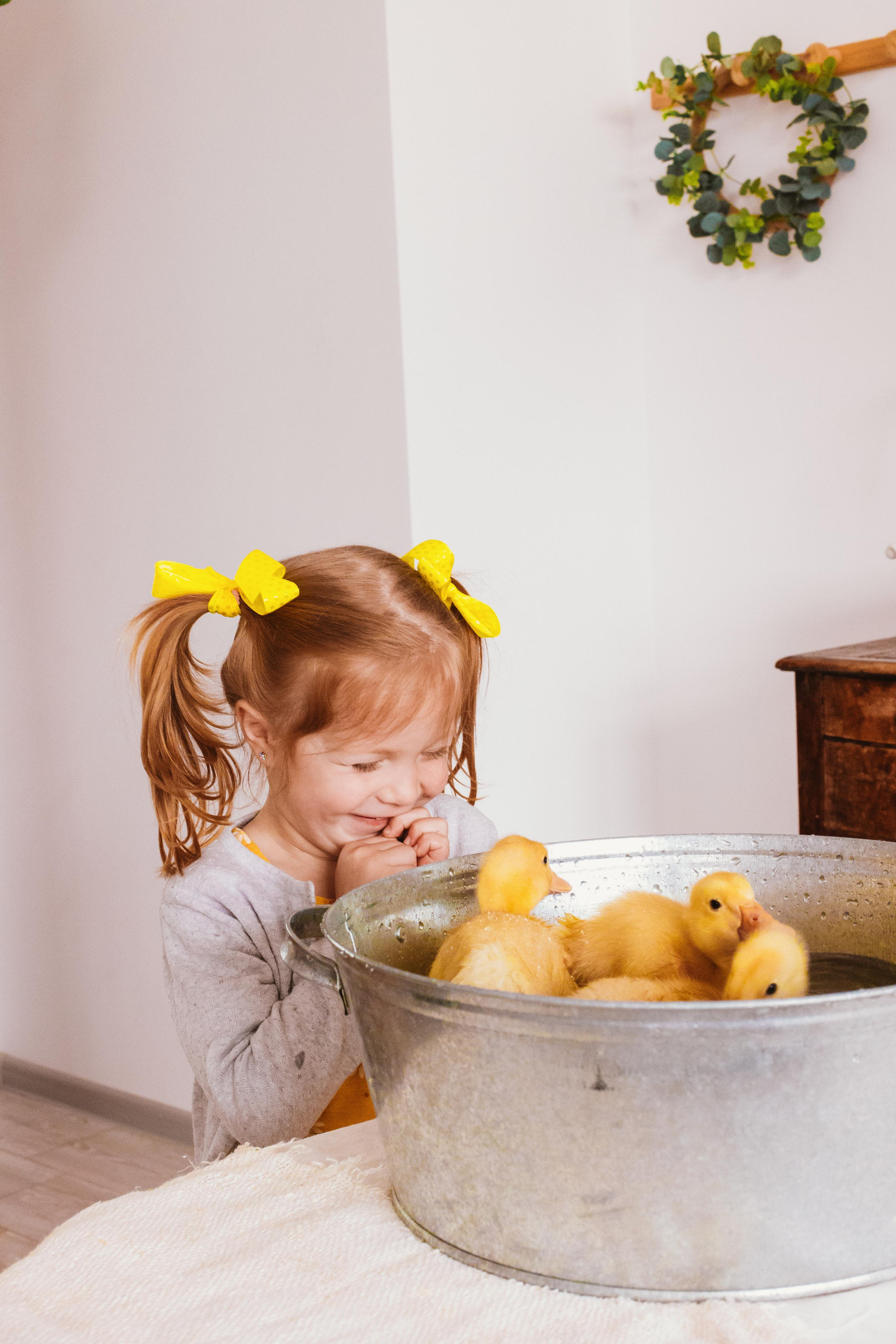 Утята. Креатор Ольга Яш