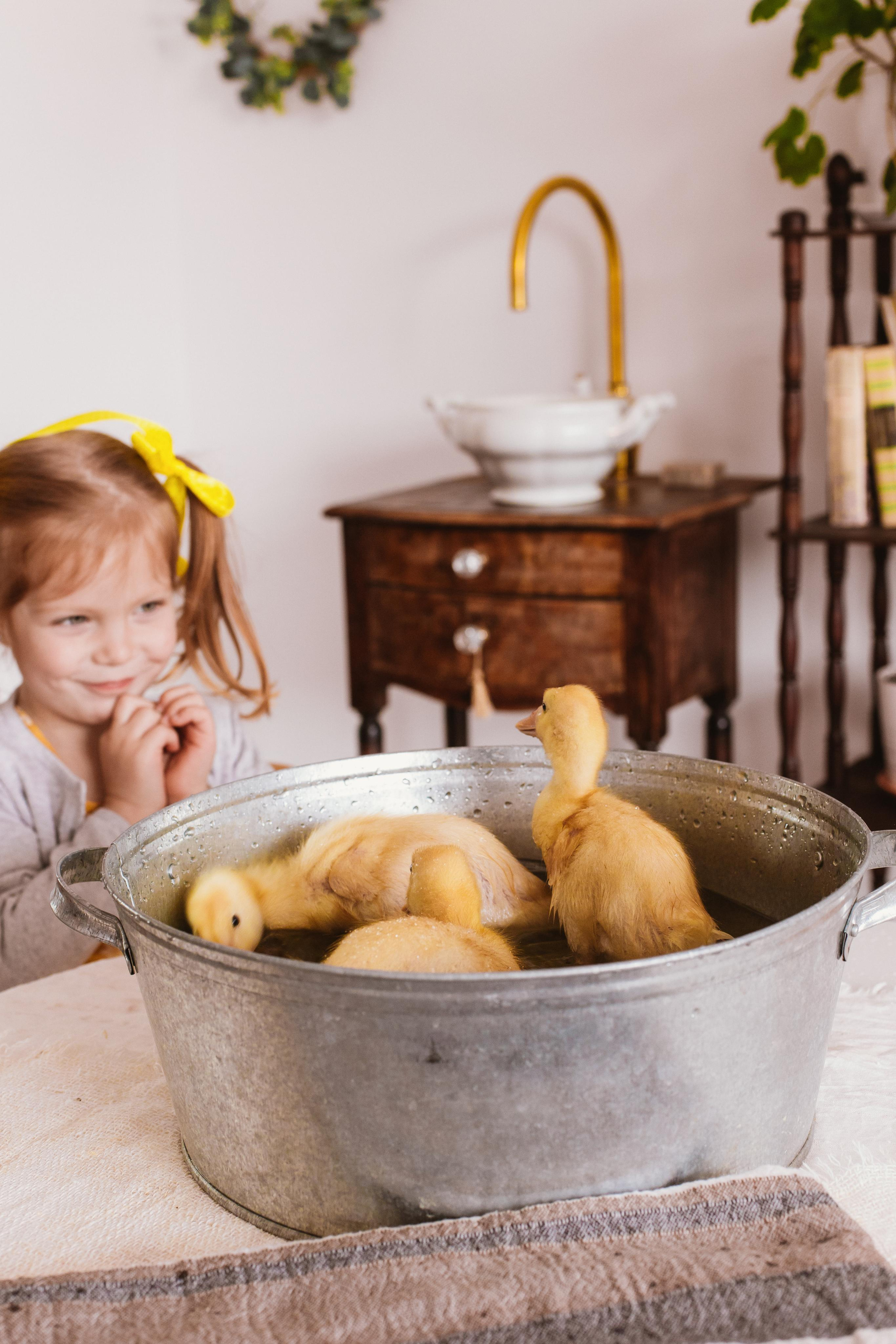 Утята. Креатор Ольга Яш