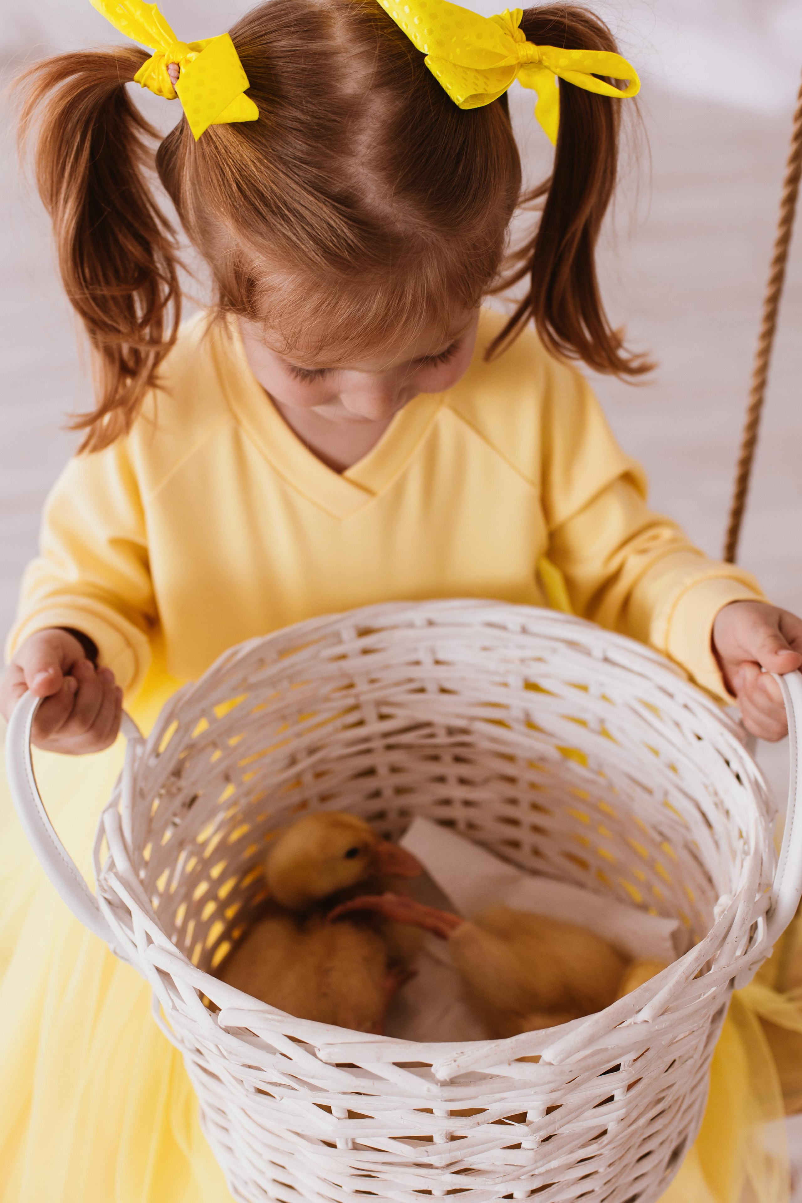 Утята. Креатор Ольга Яш