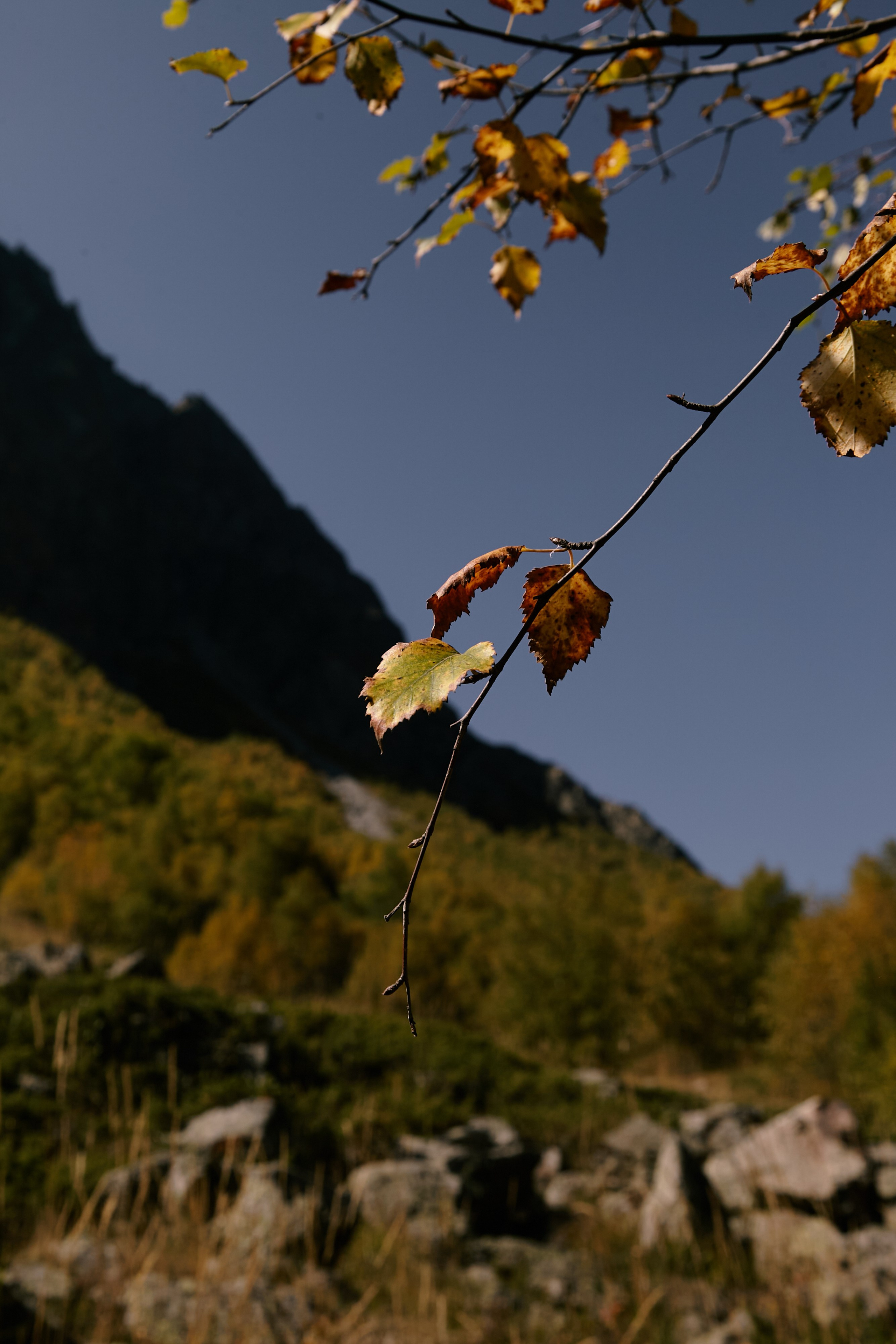 Чегем, дорога к леднику Шаурту. Фотограф Продюсер в горах КБР / Москва  Нальчик Горы