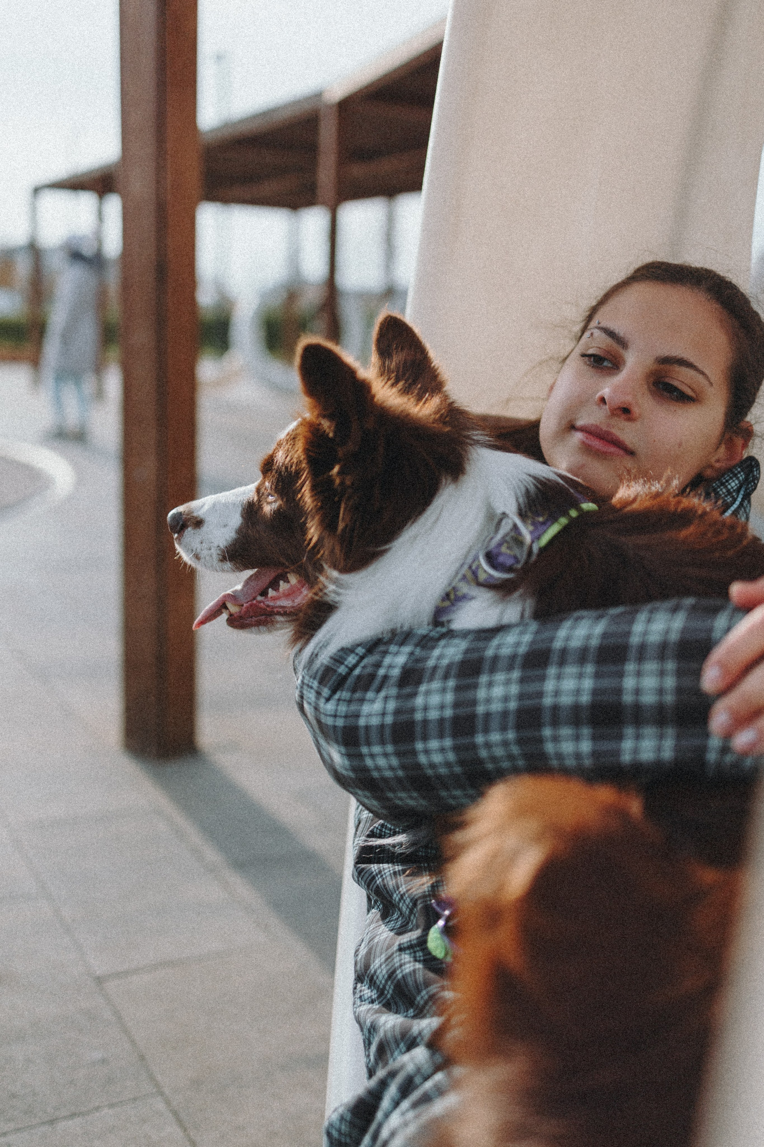 Маша и Тори. Фотограф — анималист Светлана Кысса|фотограф собак в Краснодаре и Нижнем Новгороде