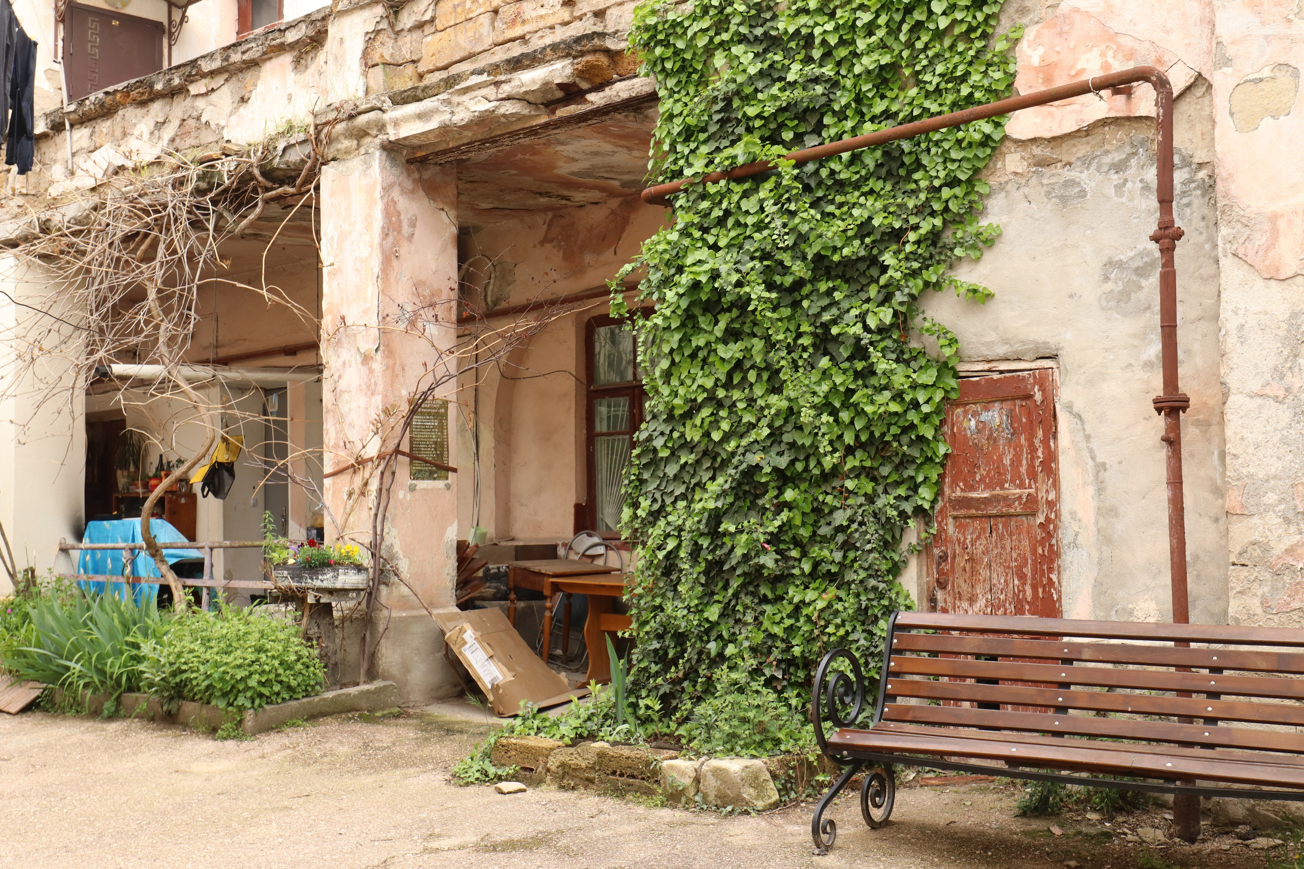 Крым. ЮБК (Севастополь, Кастрополь, Ялта). Май 2023. Путешественник-фотограф из Санкт-Петербурга Татьяна Свистулина