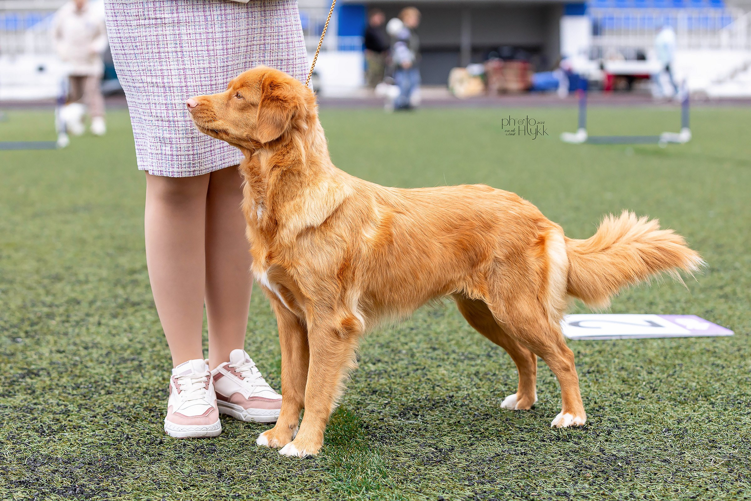 26 мая 2024, Выставка РКФ, г. Пермь. Htykk_photo