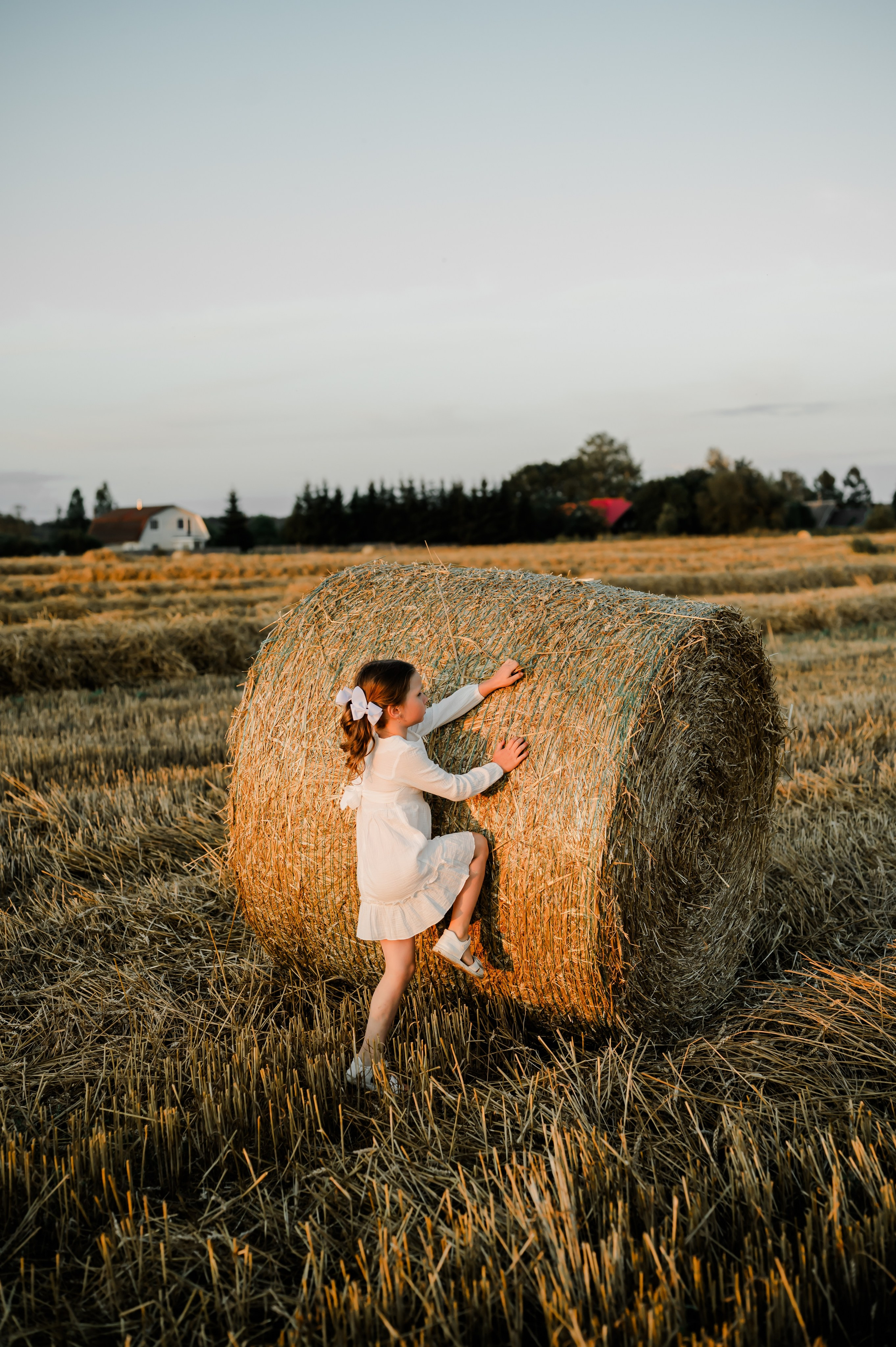 Кукуруза+сено, семейная фотосессия. Свадебный и семейный фотограф Евгения Кононова
