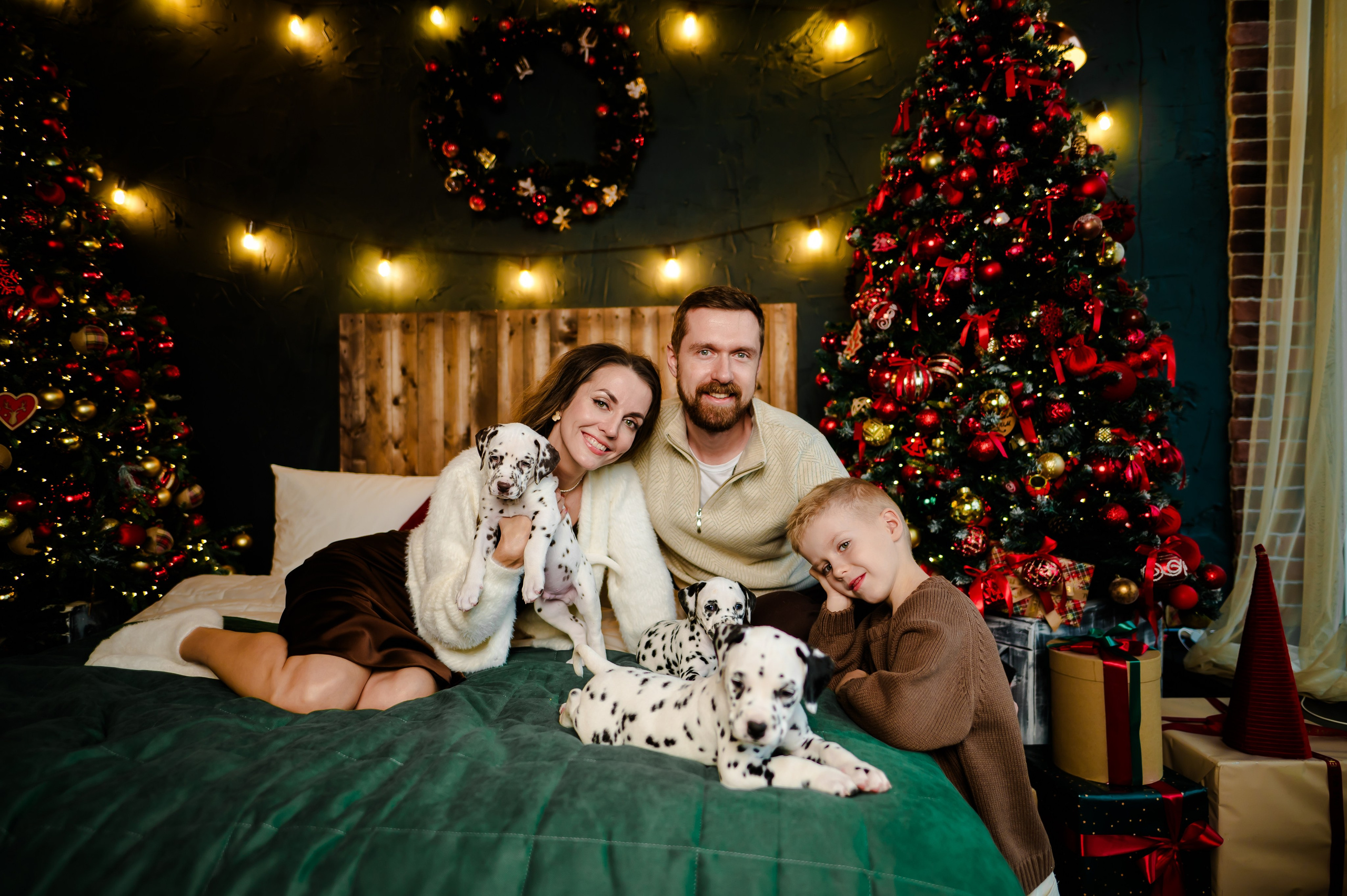 Фотосессия с далматинцами. Свадебный и семейный фотограф Евгения Кононова