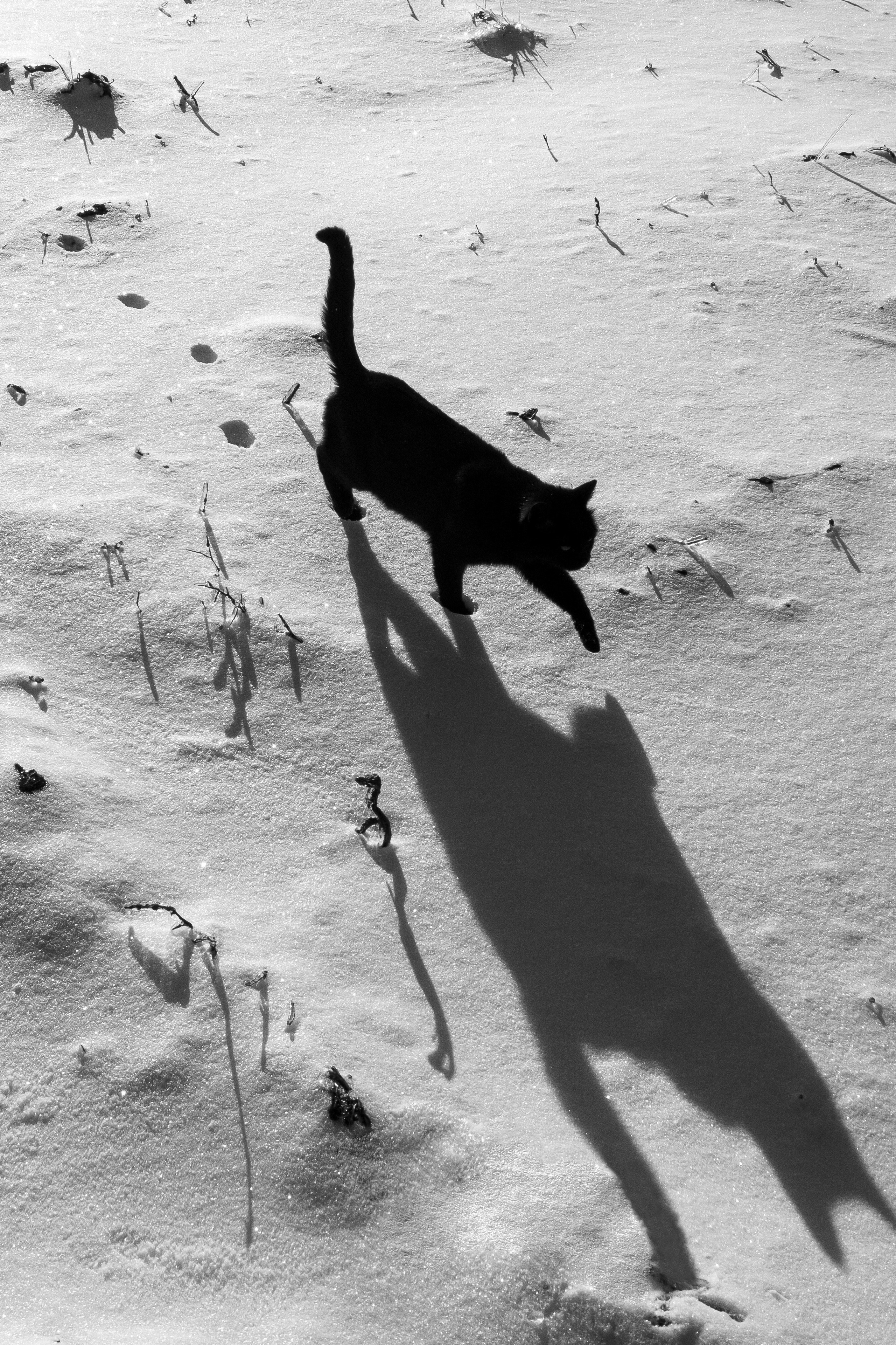 Ферма. Фотограф Антон Денисенко: Портрет, Документалистика, Пейзаж. Москва