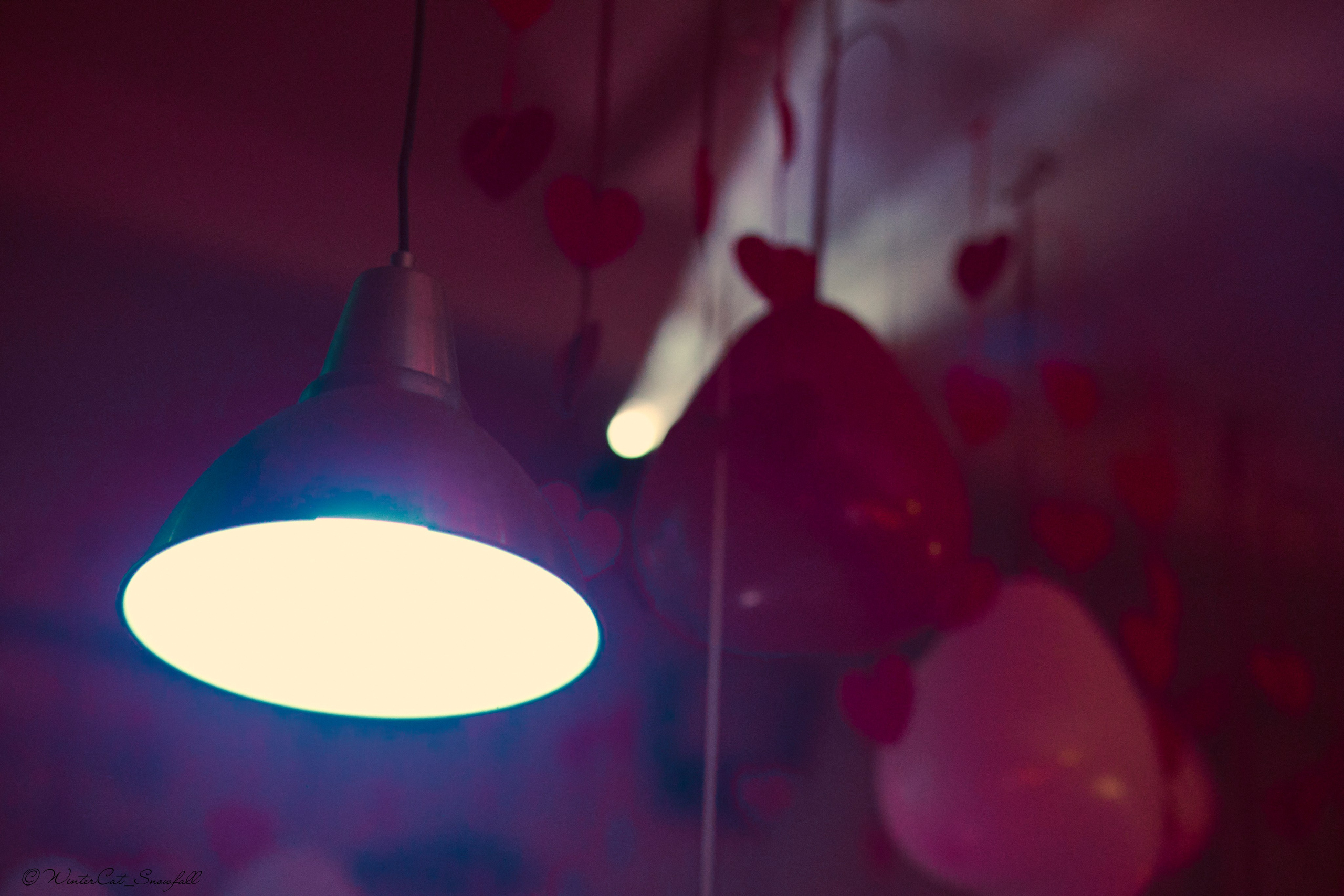 Валентинов День Ленинград 24г. Портретный и репортажный фотограф в Магадане Андрей Нефедов WinterCatPhoto