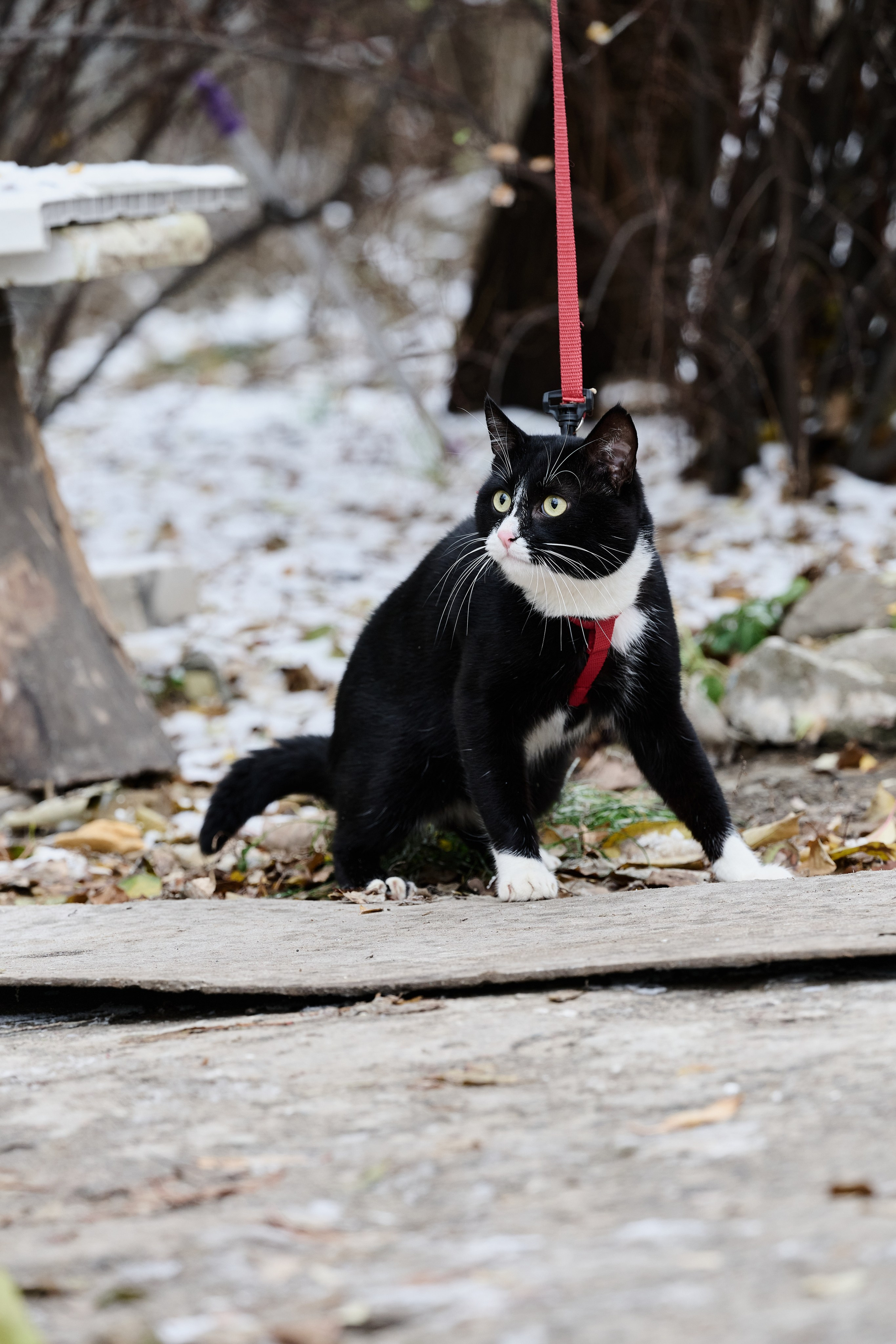 Рубежное. Луганская область. Фотопроект «Территории»