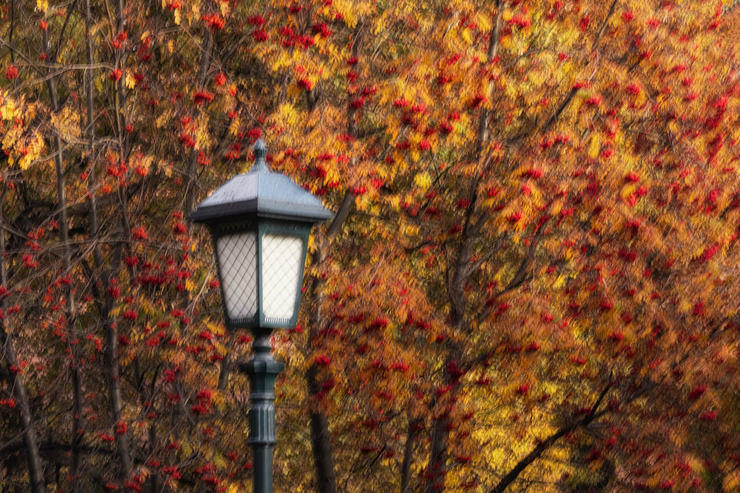 Фотоимпрессионизм. Фотограф Ольга Дунаева