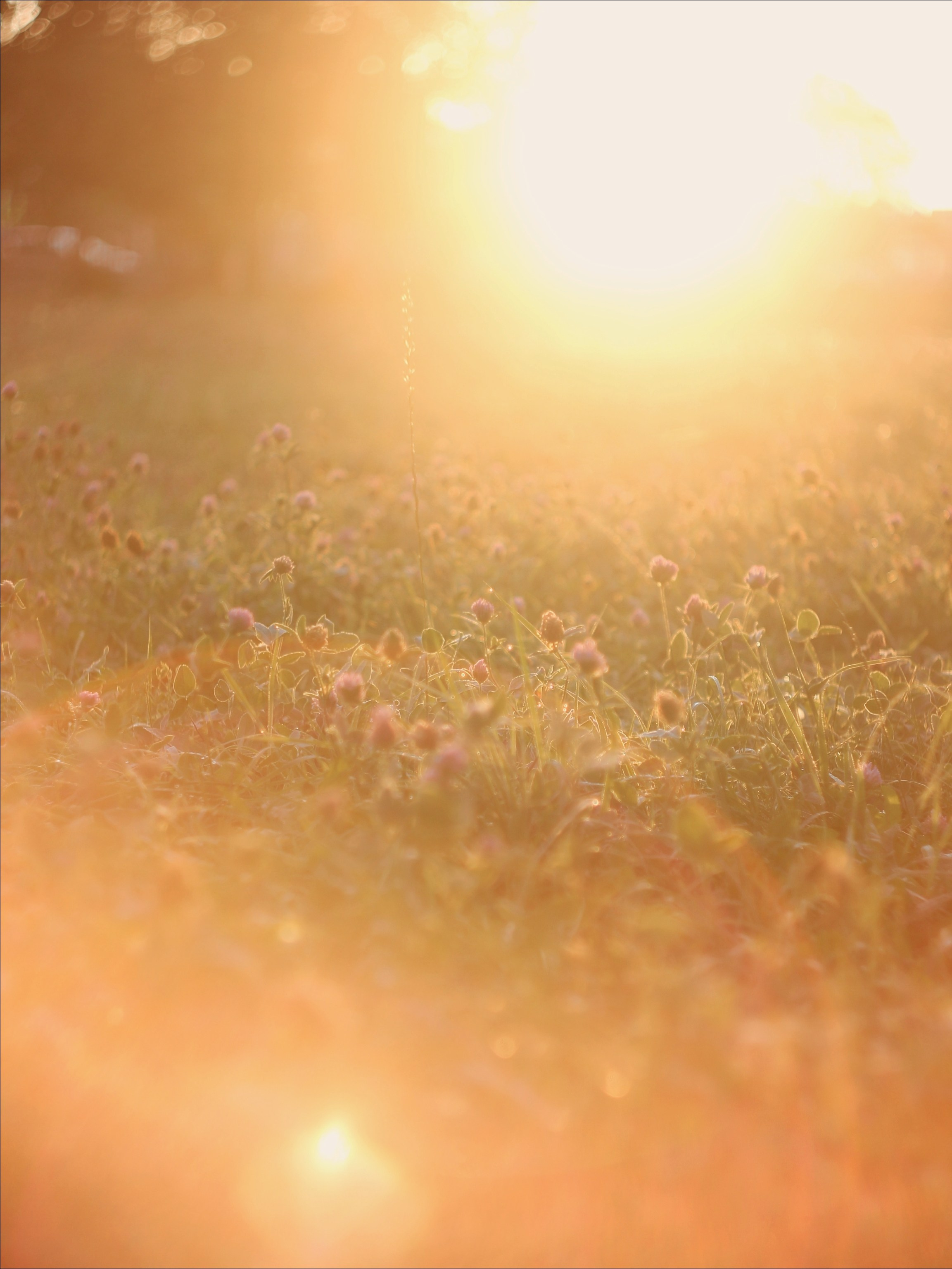 Эфемерность моментов. С любовью, фотохудожник