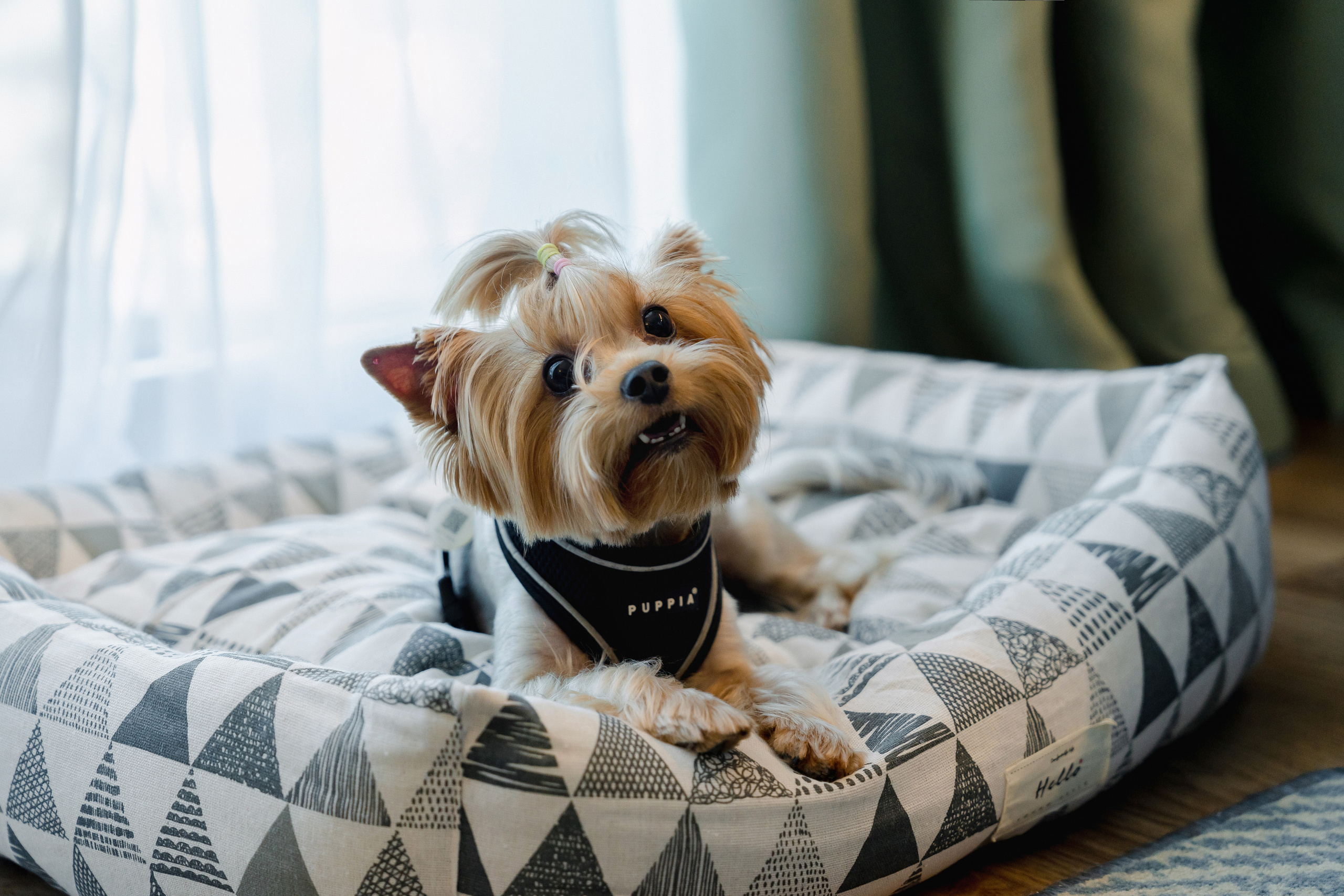 Контент для отелей и спа-комплексов. Отельный интерьерный фотограф Сочи