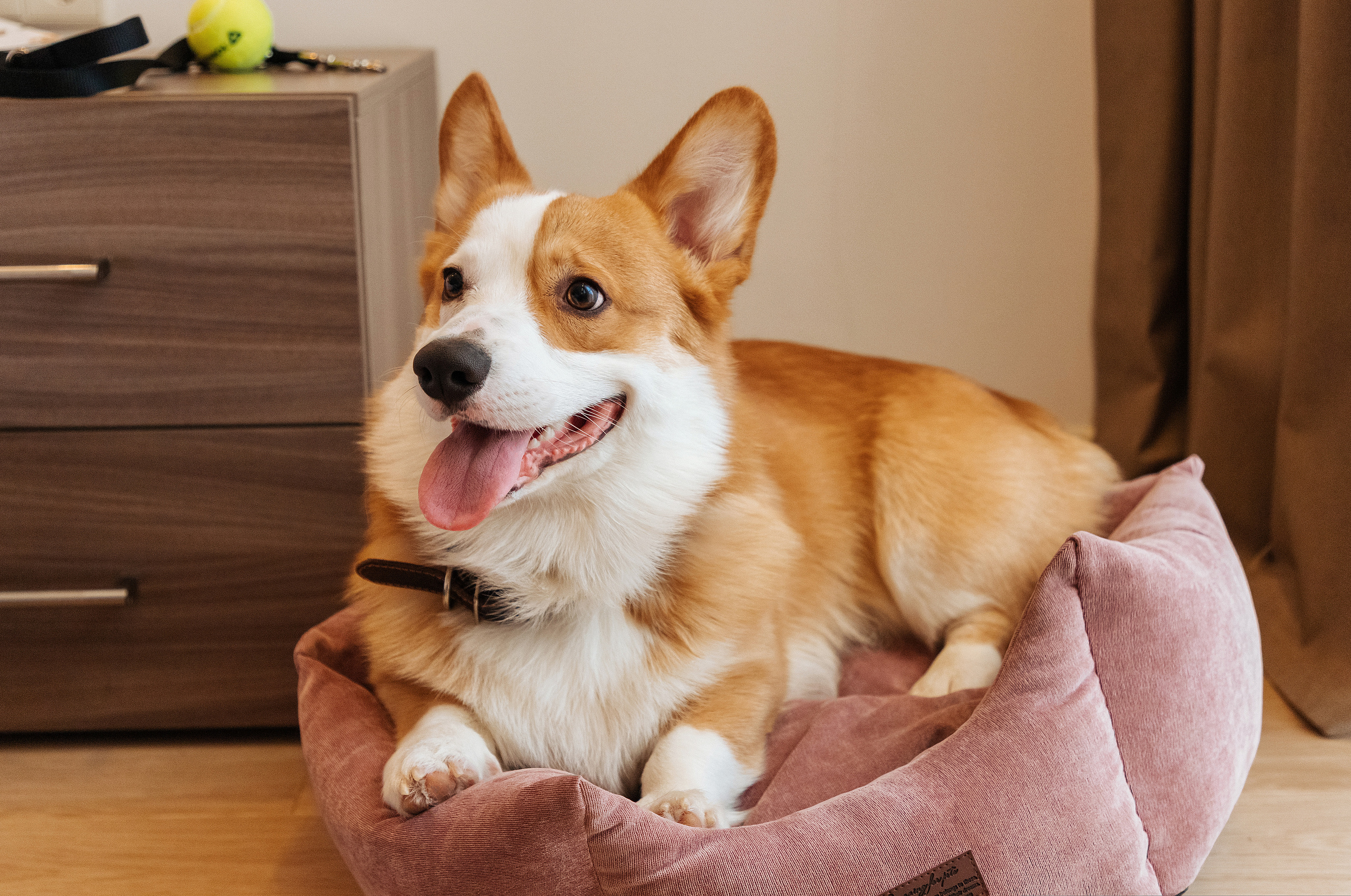 Контент для отелей и спа-комплексов. Отельный интерьерный фотограф Сочи