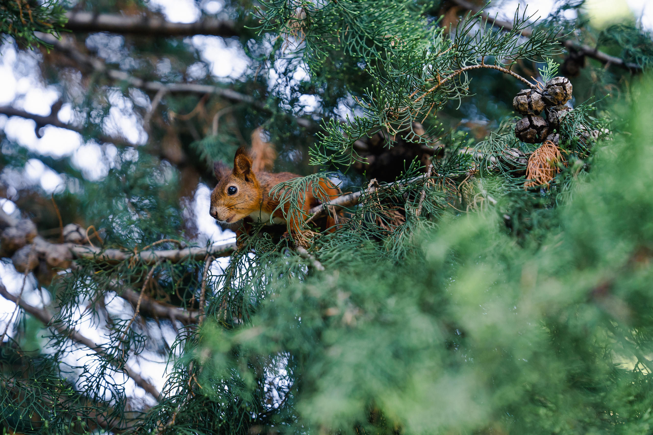 Фасадная фотосъёмка отелей Сочи. Отельный интерьерный фотограф Сочи