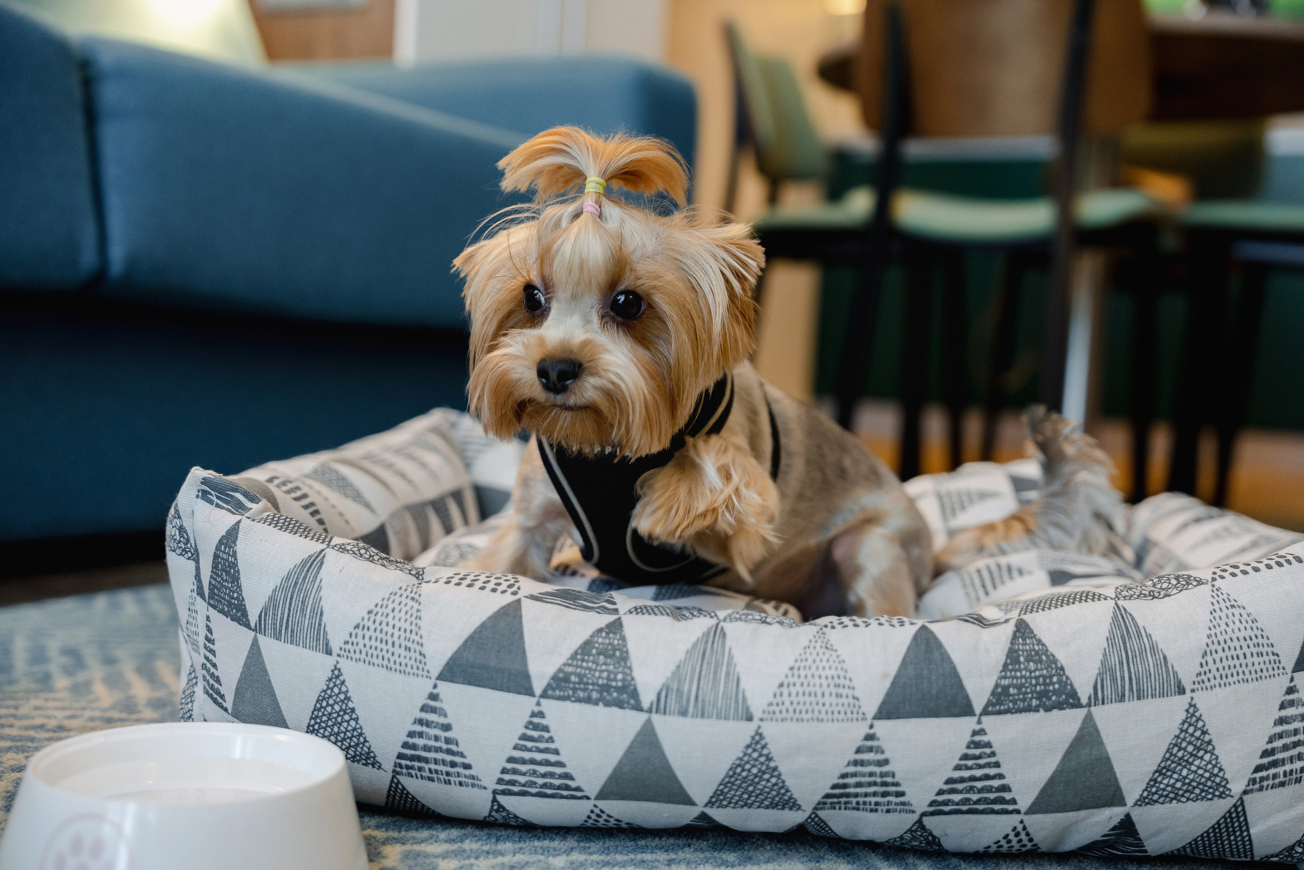 Контент для отелей и спа-комплексов. Отельный интерьерный фотограф Сочи