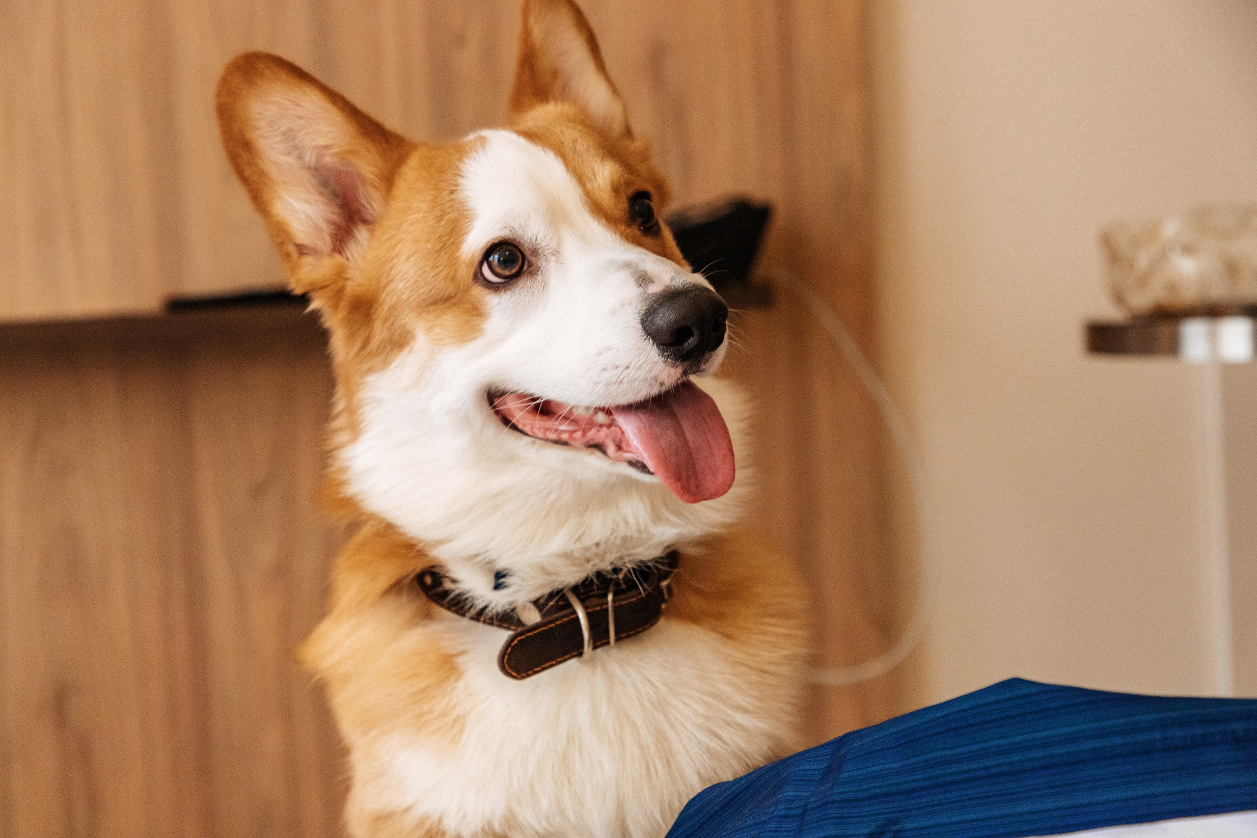 Контент для отелей и спа-комплексов. Отельный интерьерный фотограф Сочи