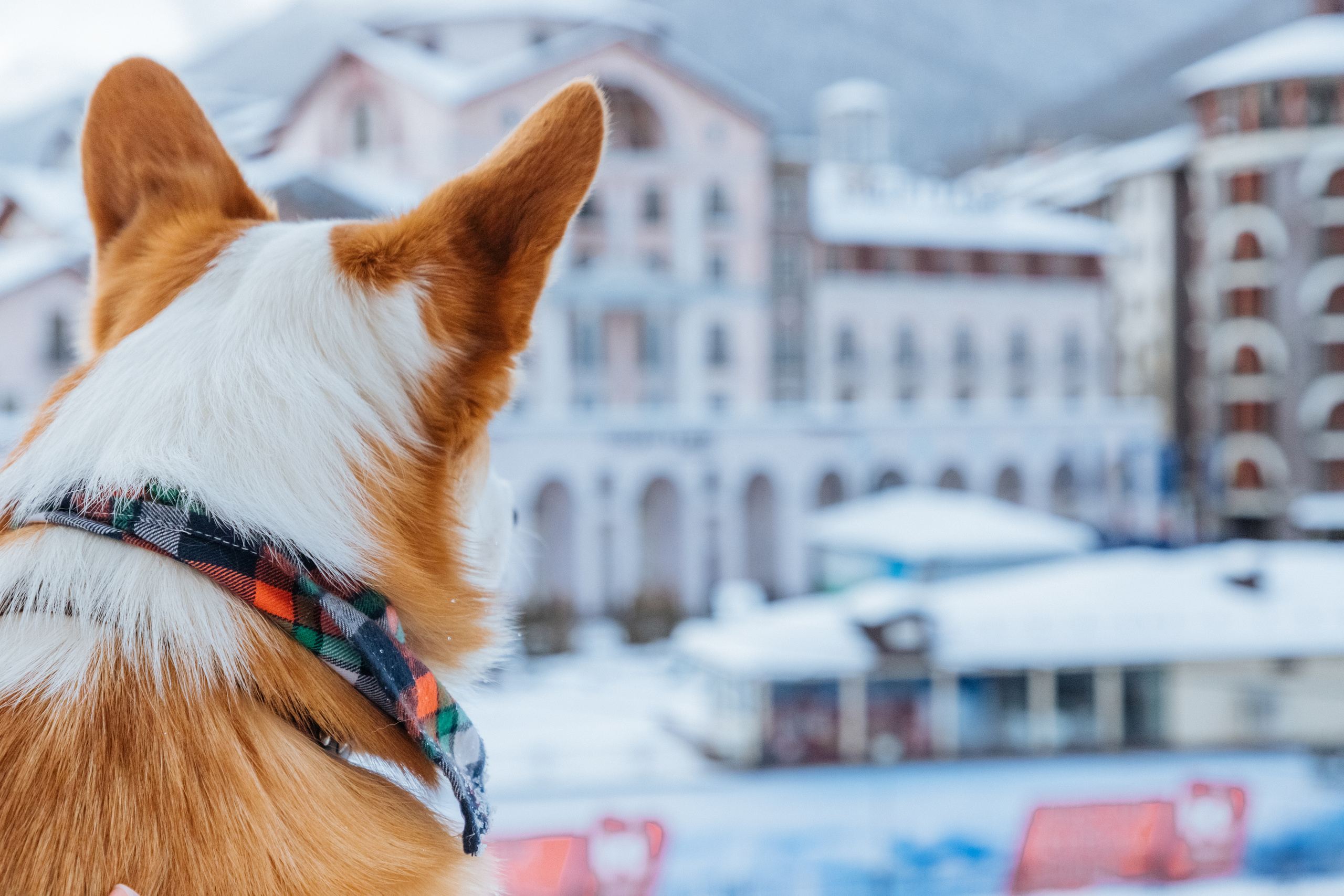 Контент для отелей и спа-комплексов. Отельный интерьерный фотограф Сочи