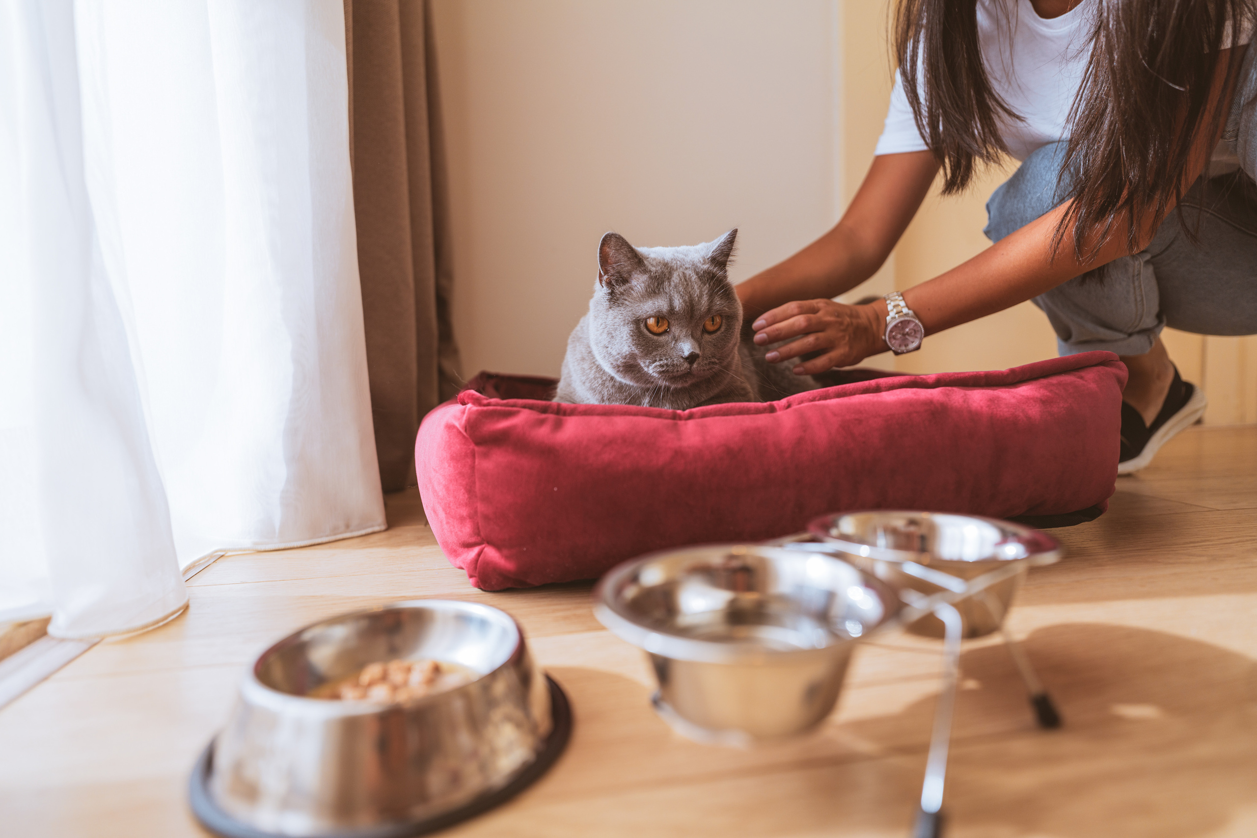 Контент для отелей и спа-комплексов. Отельный интерьерный фотограф Сочи