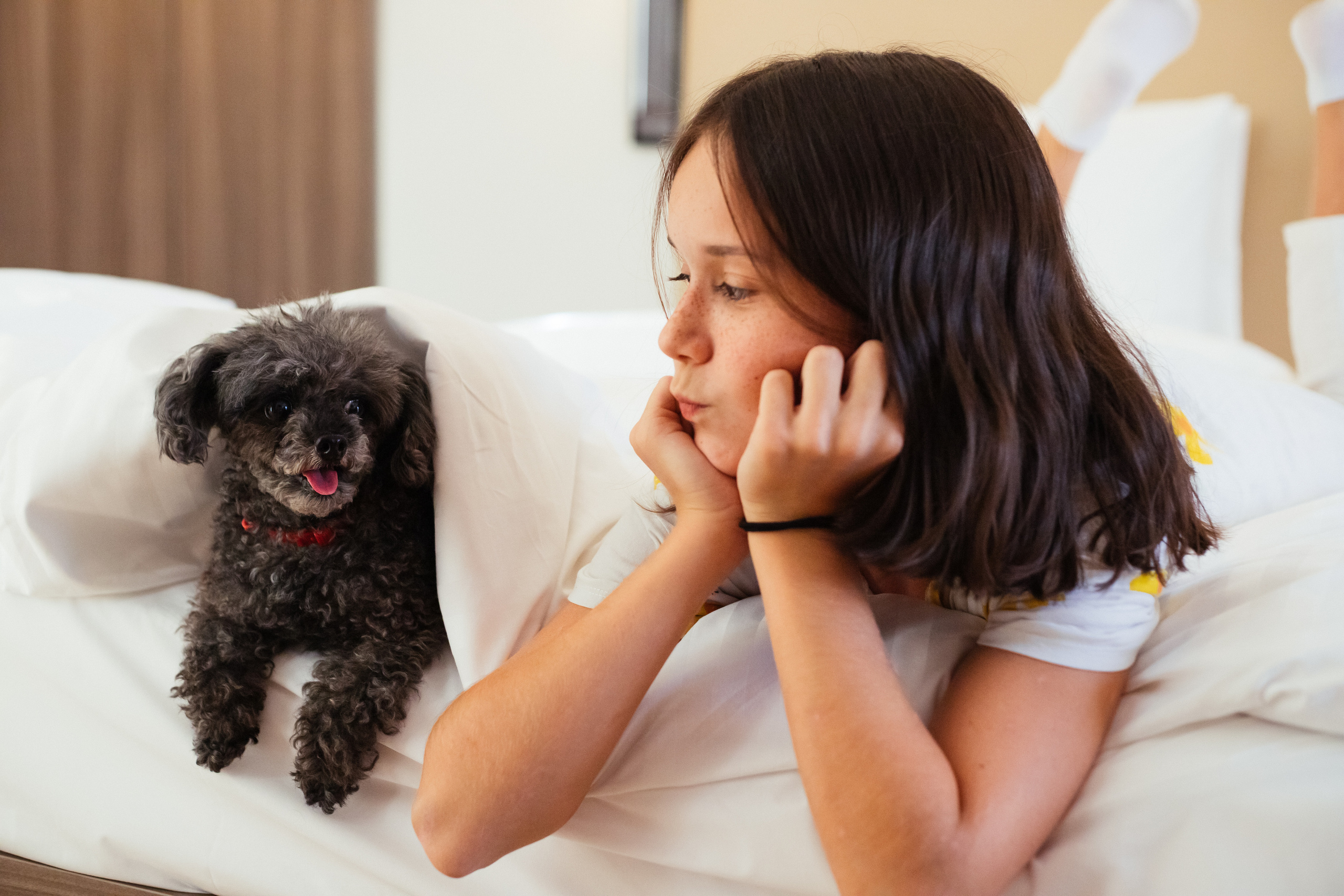 Контент для отелей и спа-комплексов. Отельный интерьерный фотограф Сочи