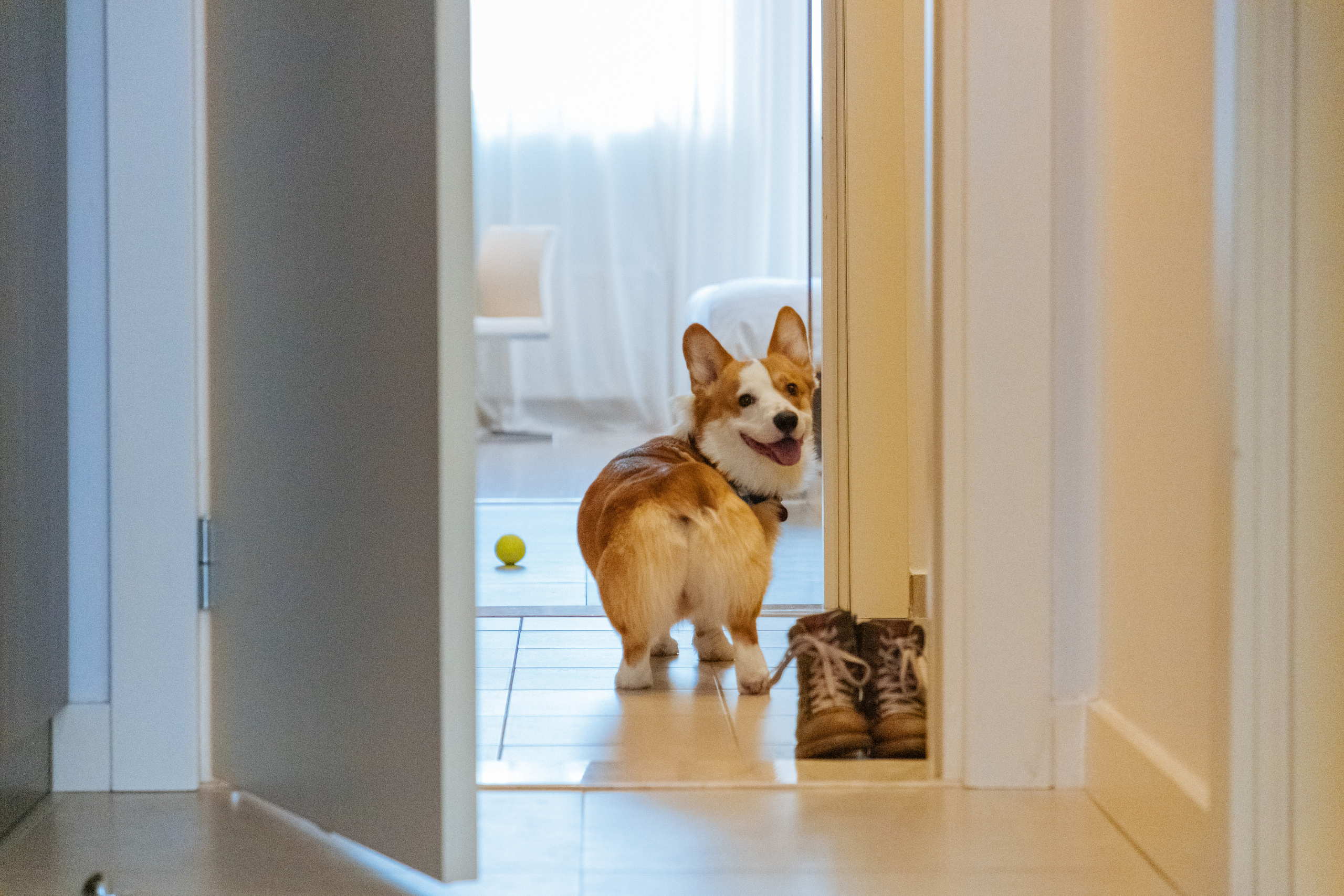 Контент для отелей и спа-комплексов. Отельный интерьерный фотограф Сочи