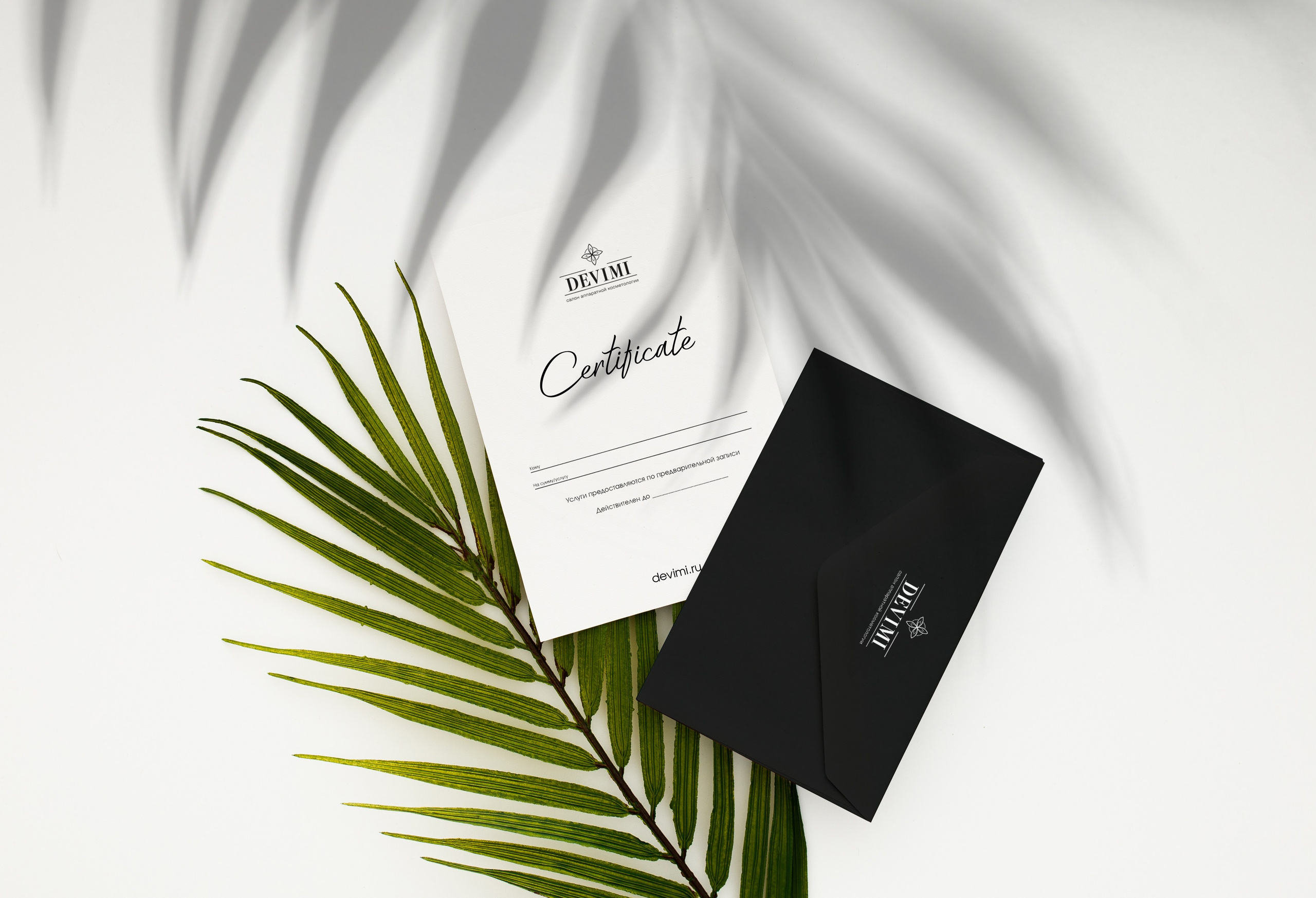 Лина Ивахник, графический и бренд — дизайнер