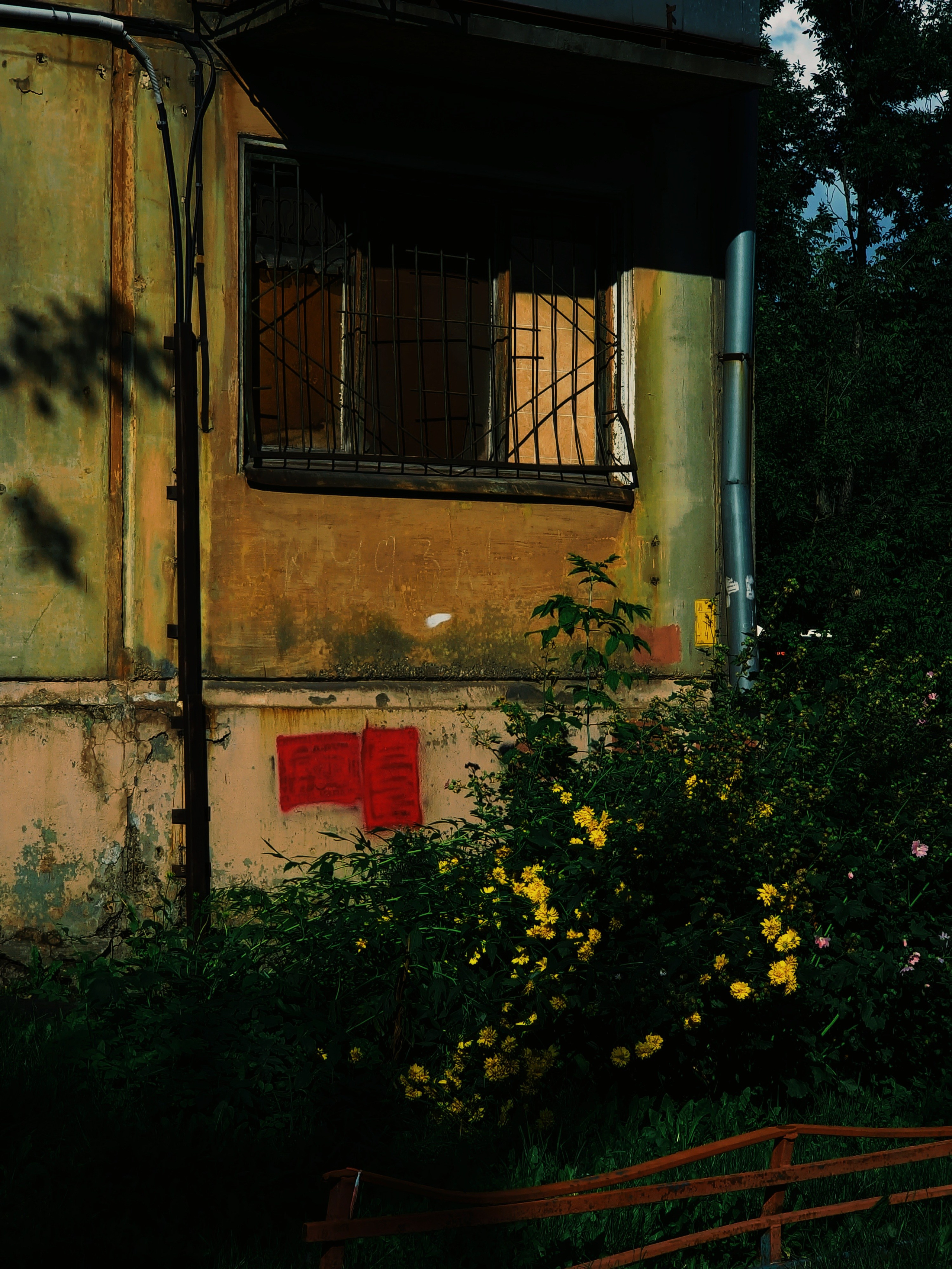 Август 2025. Den Mirov — Фотограф, Музыкант