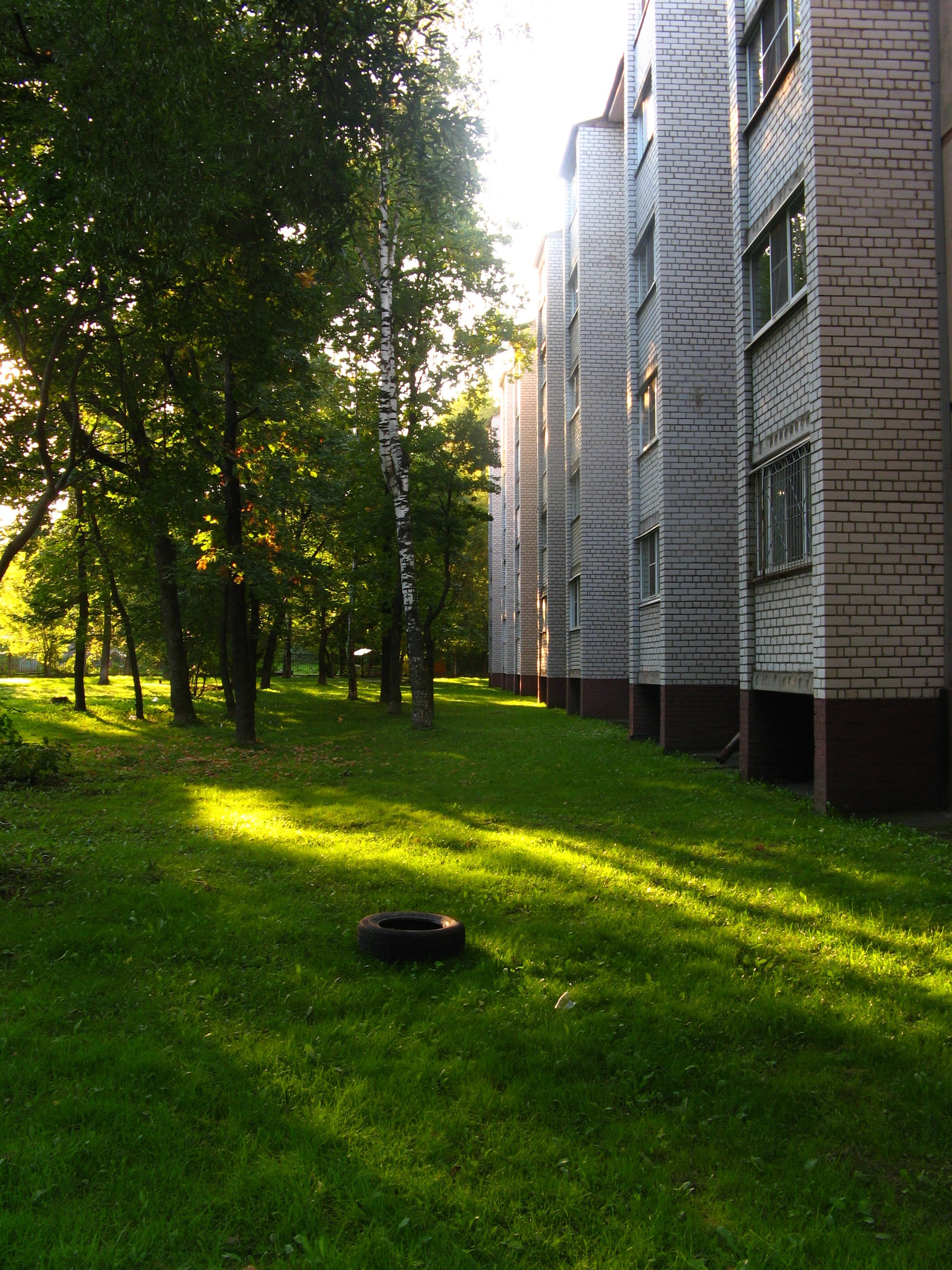 Сентябрь 2025. Den Mirov — Фотограф, Музыкант