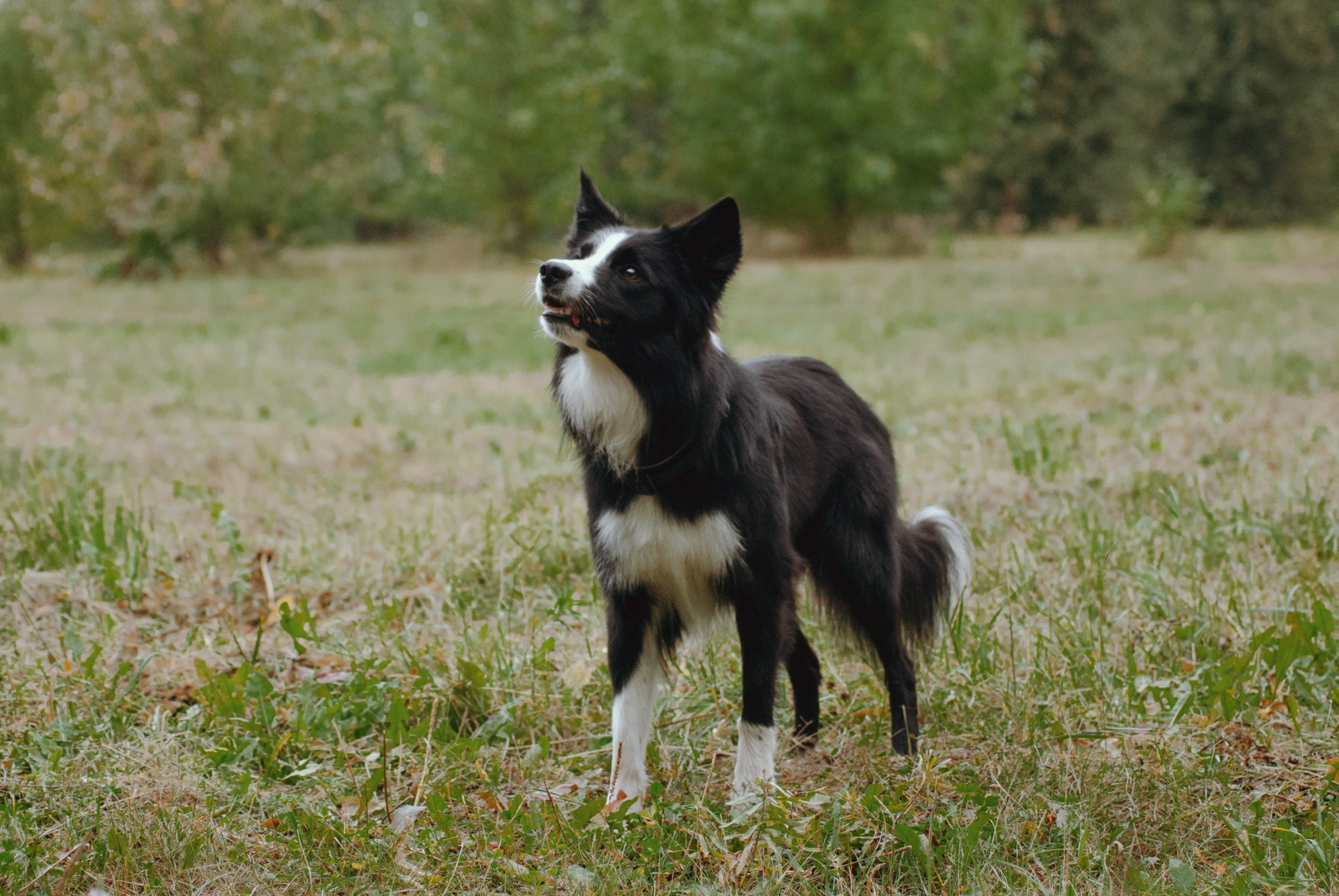 Макс. Фотограф в Тюмени Лизавета Сапицкая