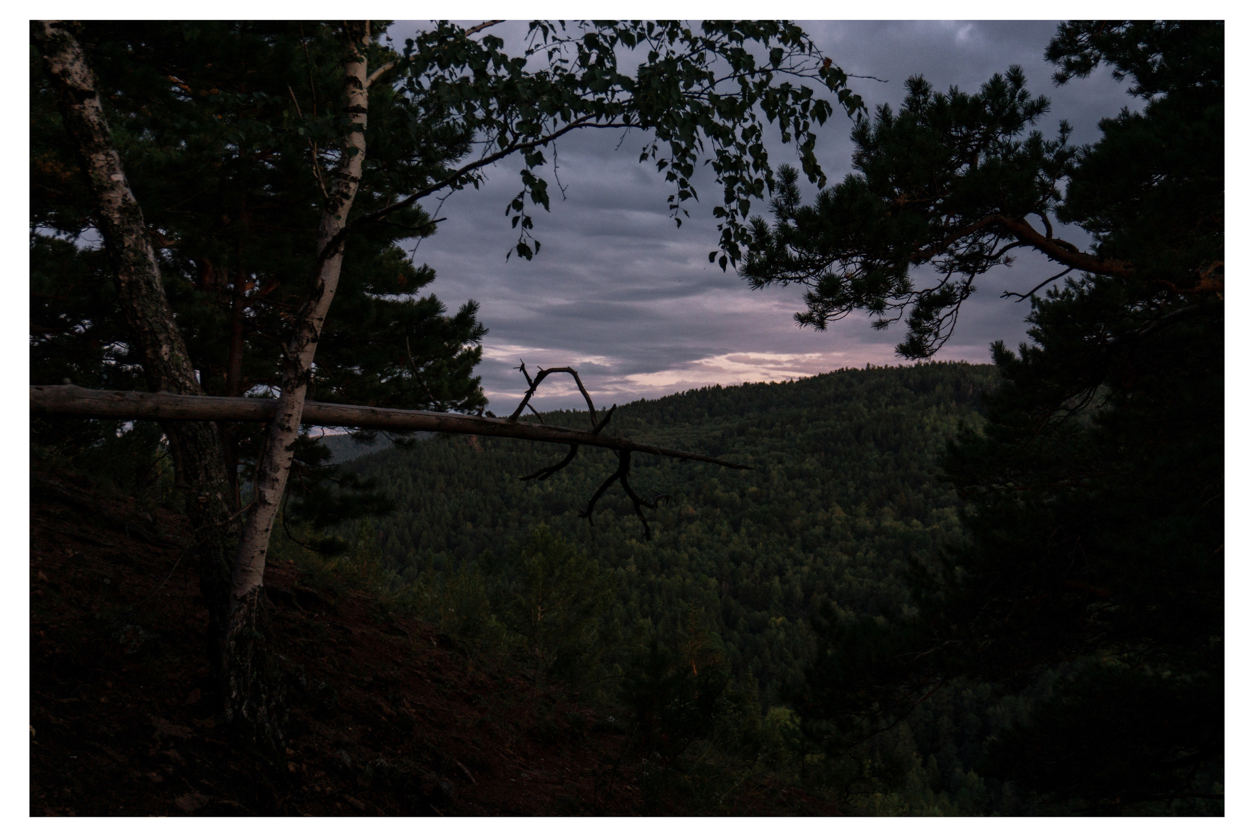 28.08.2025 | Красноярск. Kuznetsov | Фотограф в Красноярске