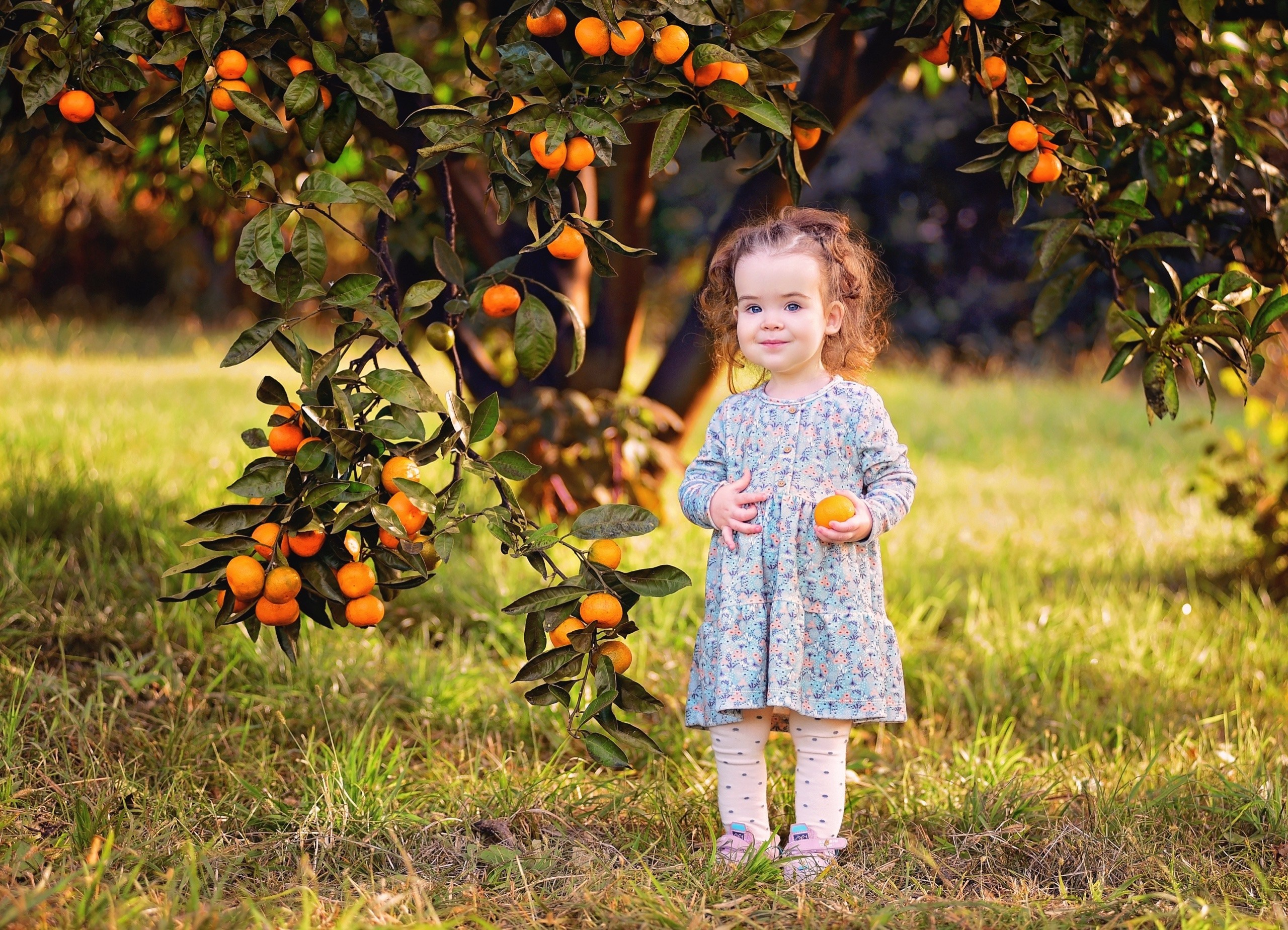 Мандарины. Главная