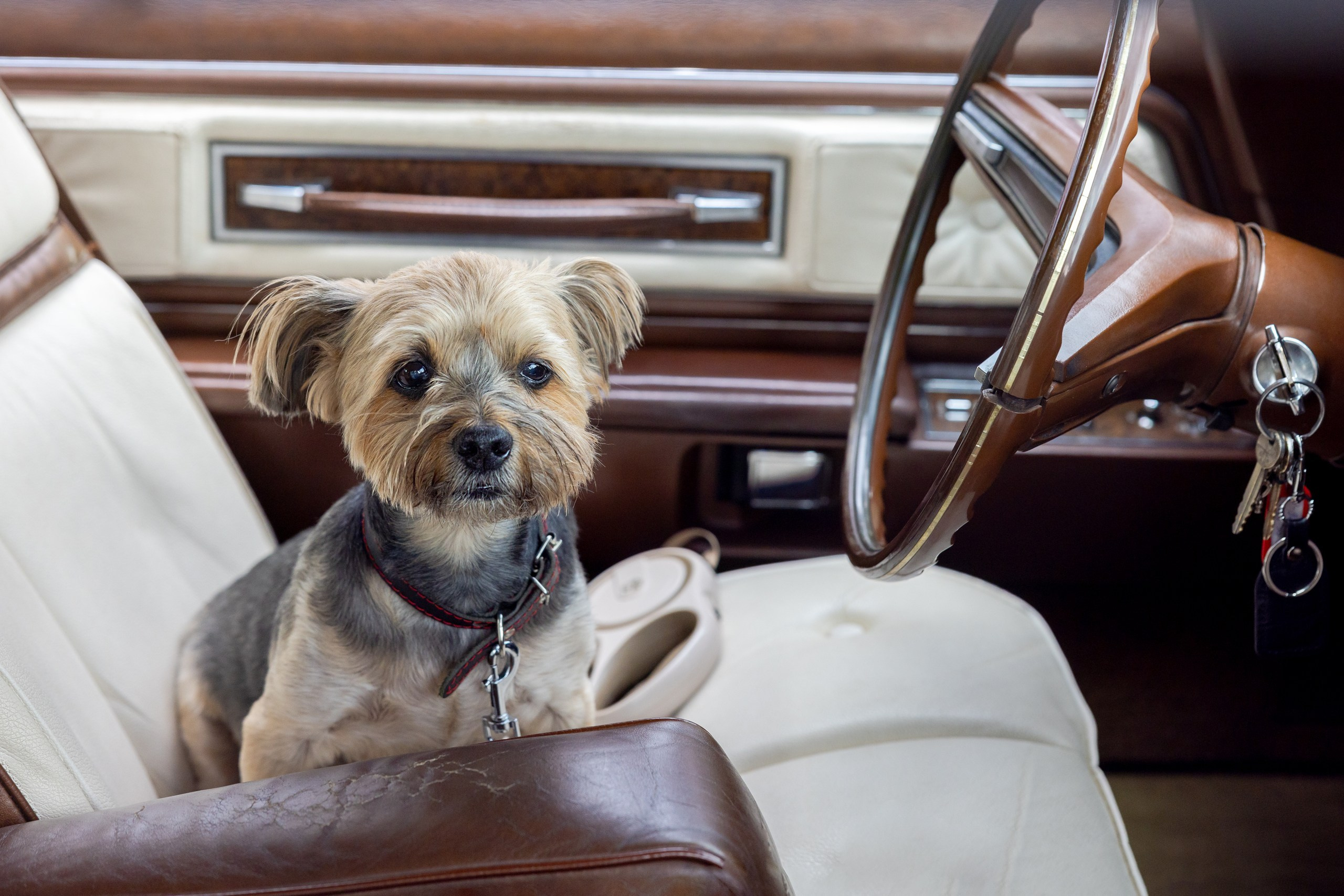 Автострада 20 лет. Фотограф в Туле Крупский АнДРей. Фотостудия «КАДР71» в Туле