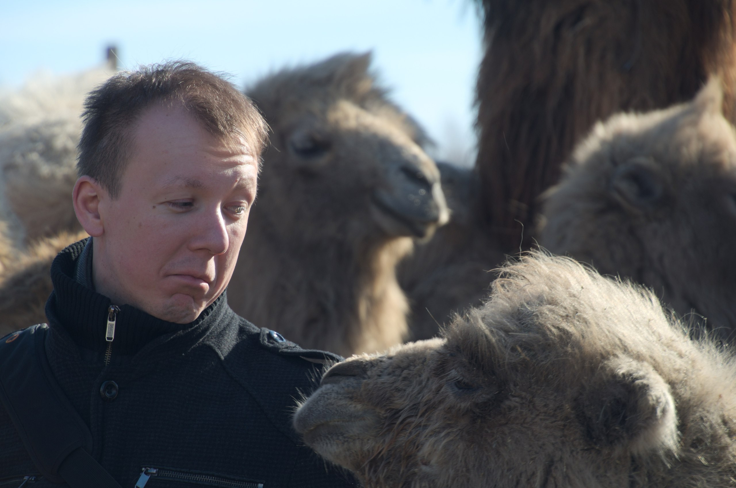 Казань | 24-26.03.2017. Галерея Фантим