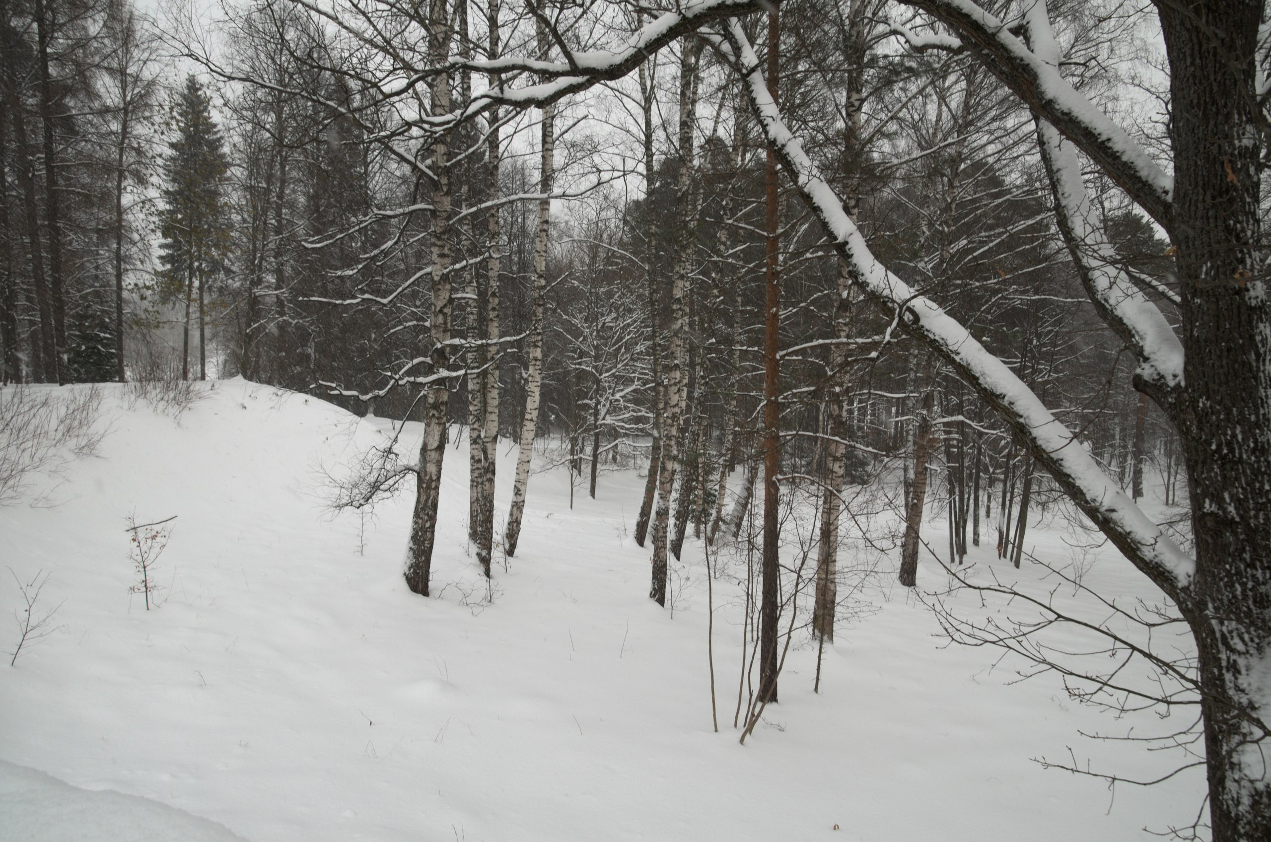 Сергиев Посад | 11.12.2016. Галерея Фантим