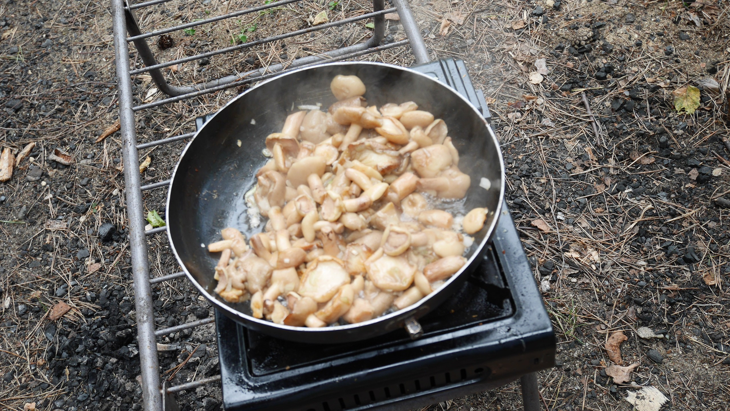 Походная романтика 28! Шабаш | 13-15.07.2018. Галерея Фантим