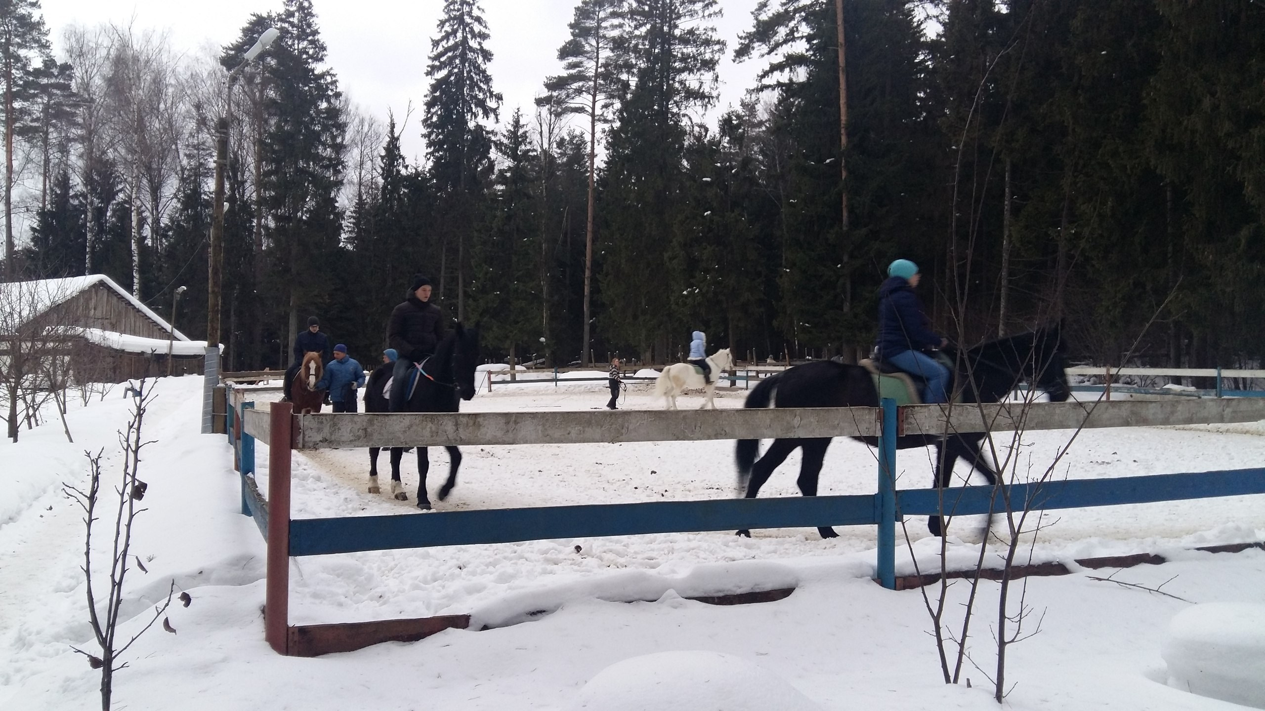 Активные выходные |18-19.02.2017. Галерея Фантим