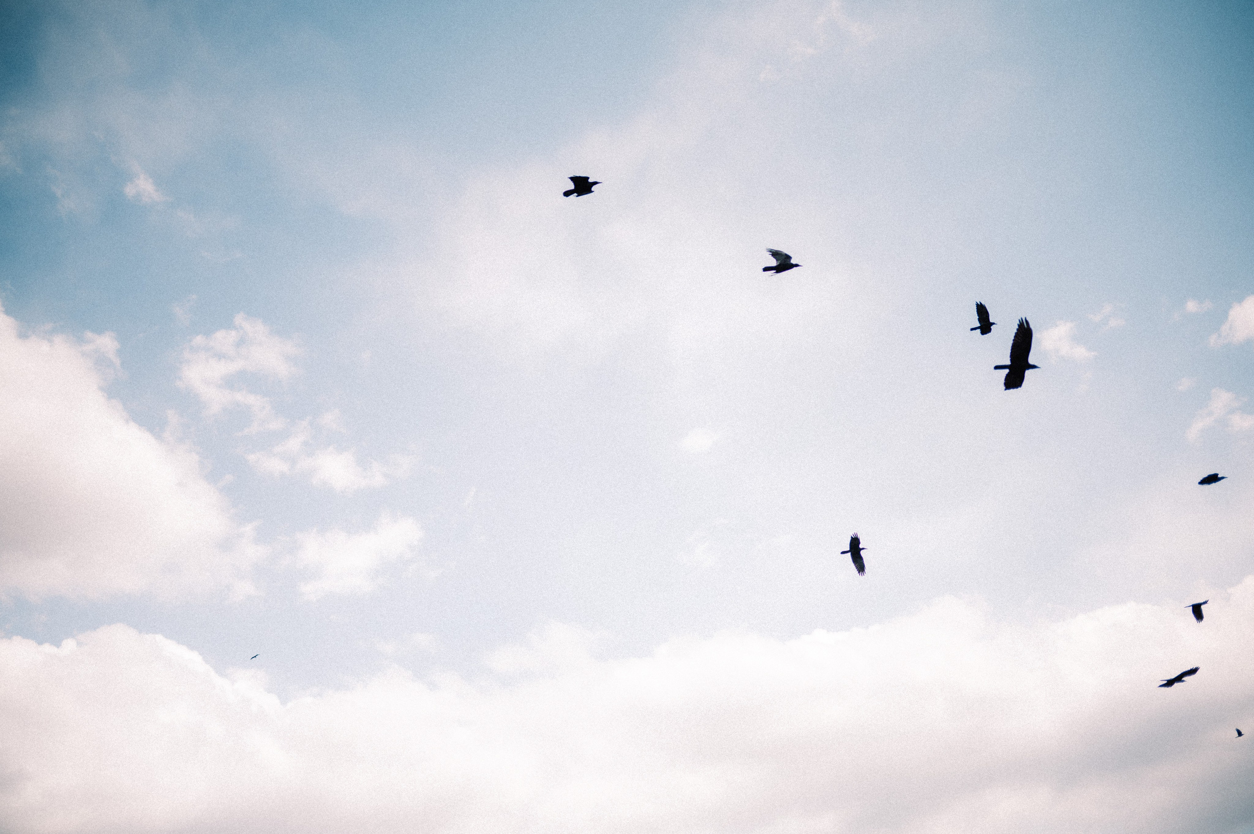 Плато Ассы: июль 2025. Фотограф в Алматы — Дарья Фёдорова