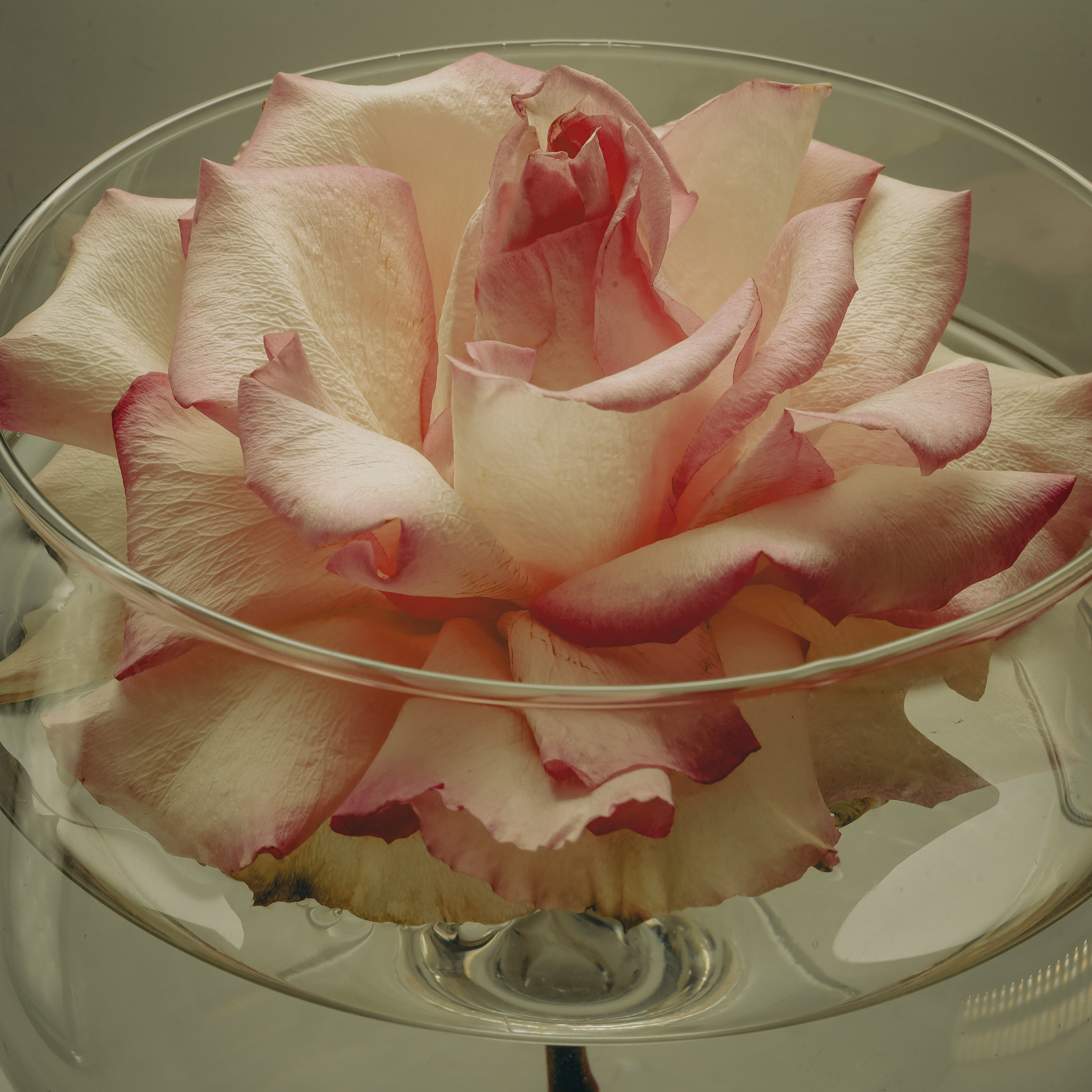 Пространства &. Фотохудожник в СПб