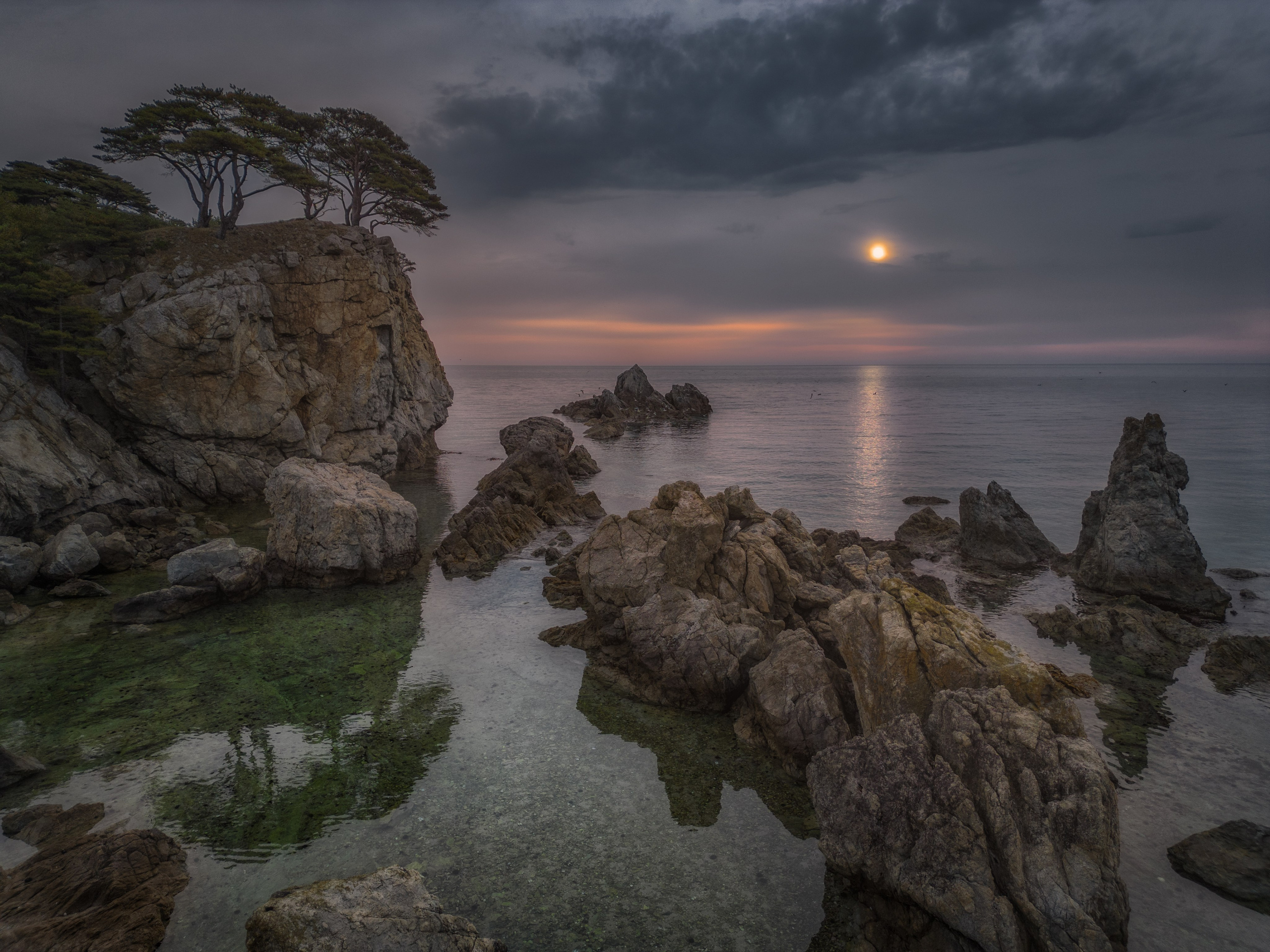 Весеннее Приморье. Май
