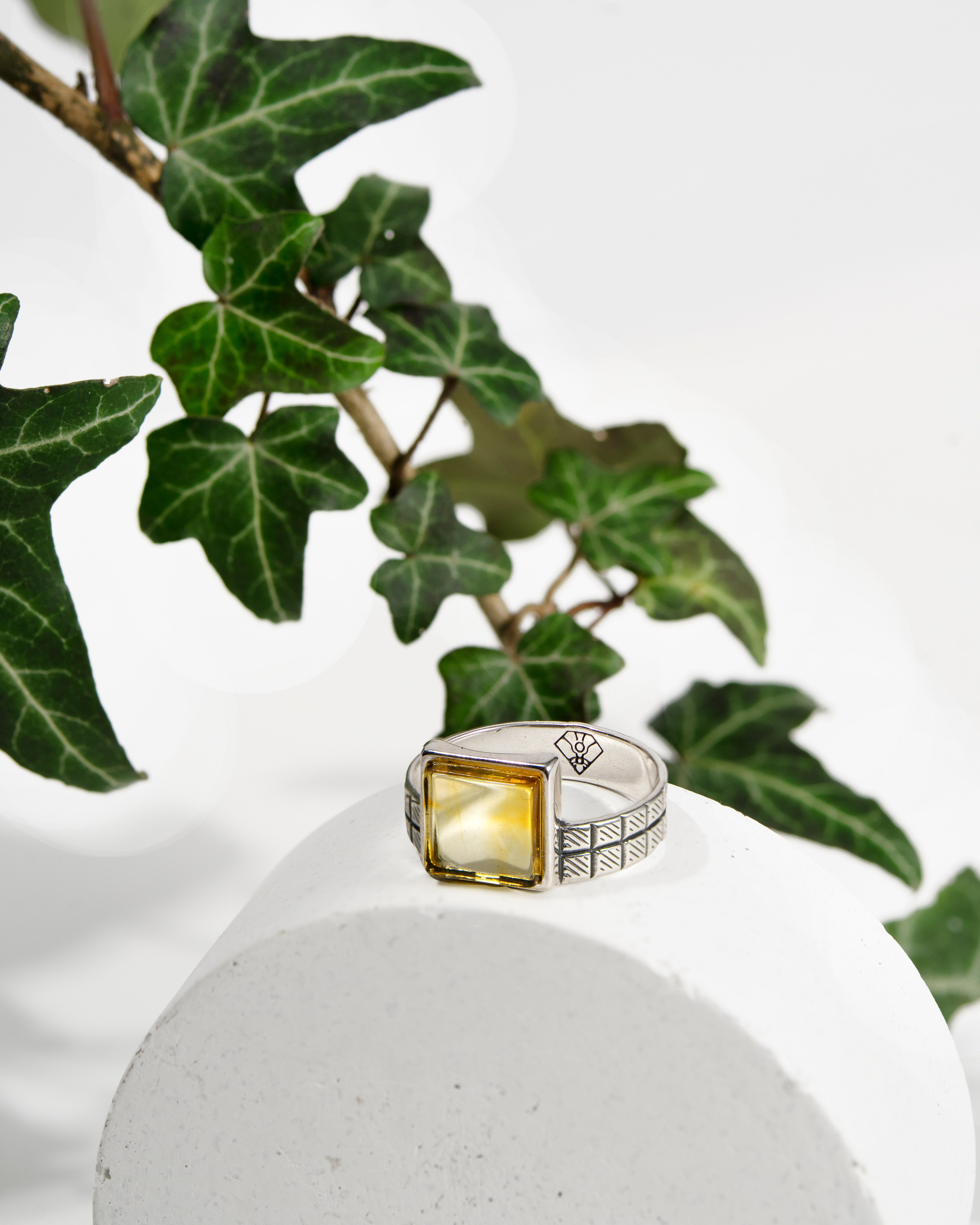 Съемка янтаря и украшений. Предметный и фуд-фотограф в Калининграде Надя Николаева