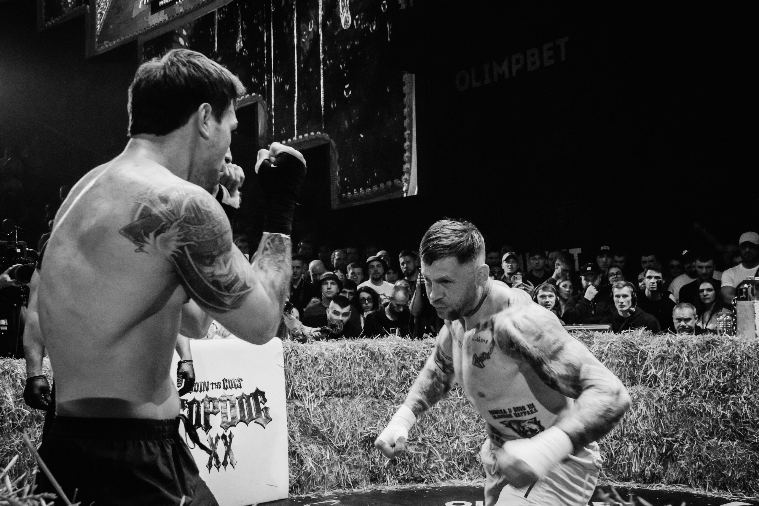 Кулачные бои TopDog. Анастасия Тен