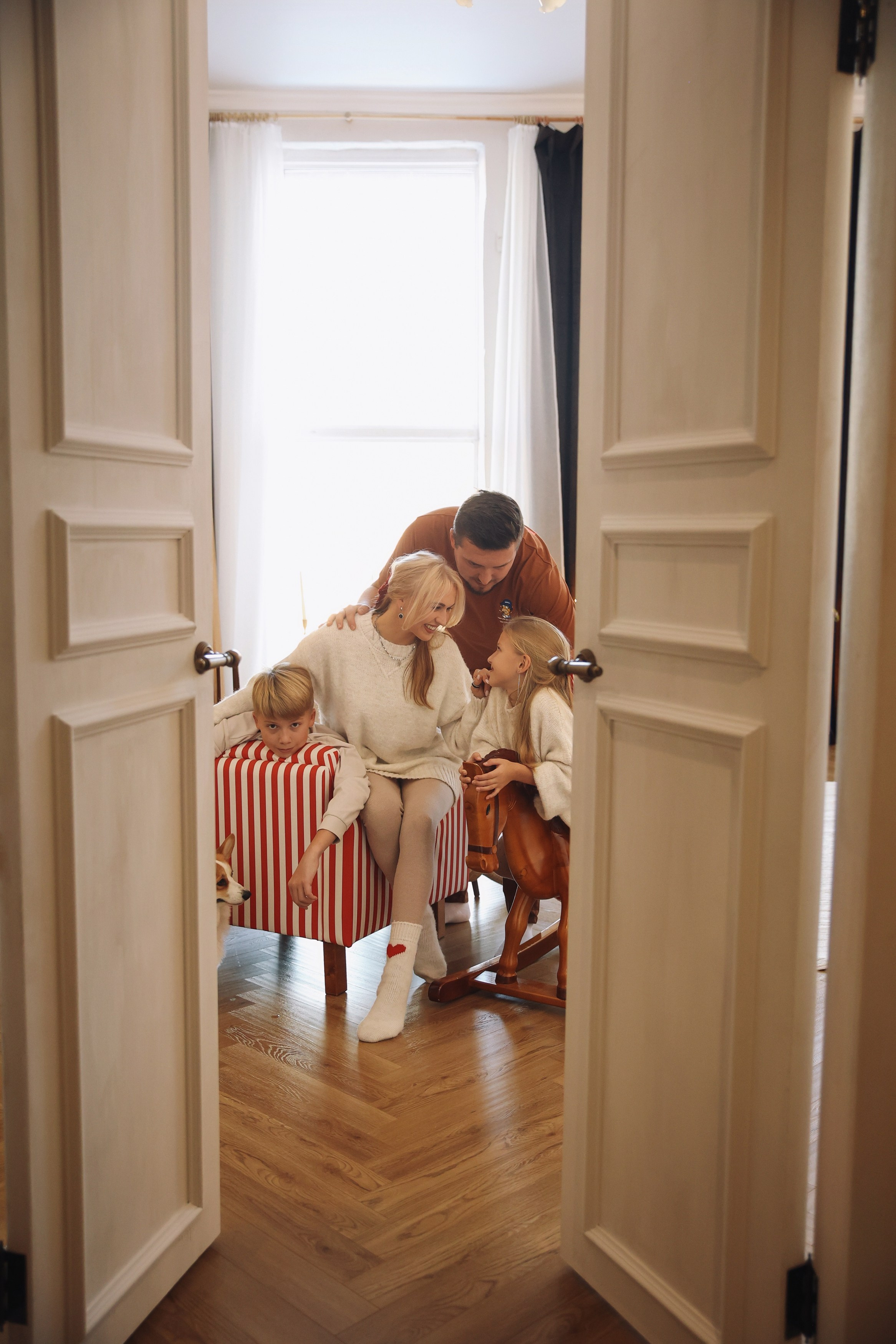 Новогодняя фотосессия во Владимире съемка на новый год фотосессия в студии фотограф во Владимире фотограф в Москве корги. Фотограф Владимир Москва