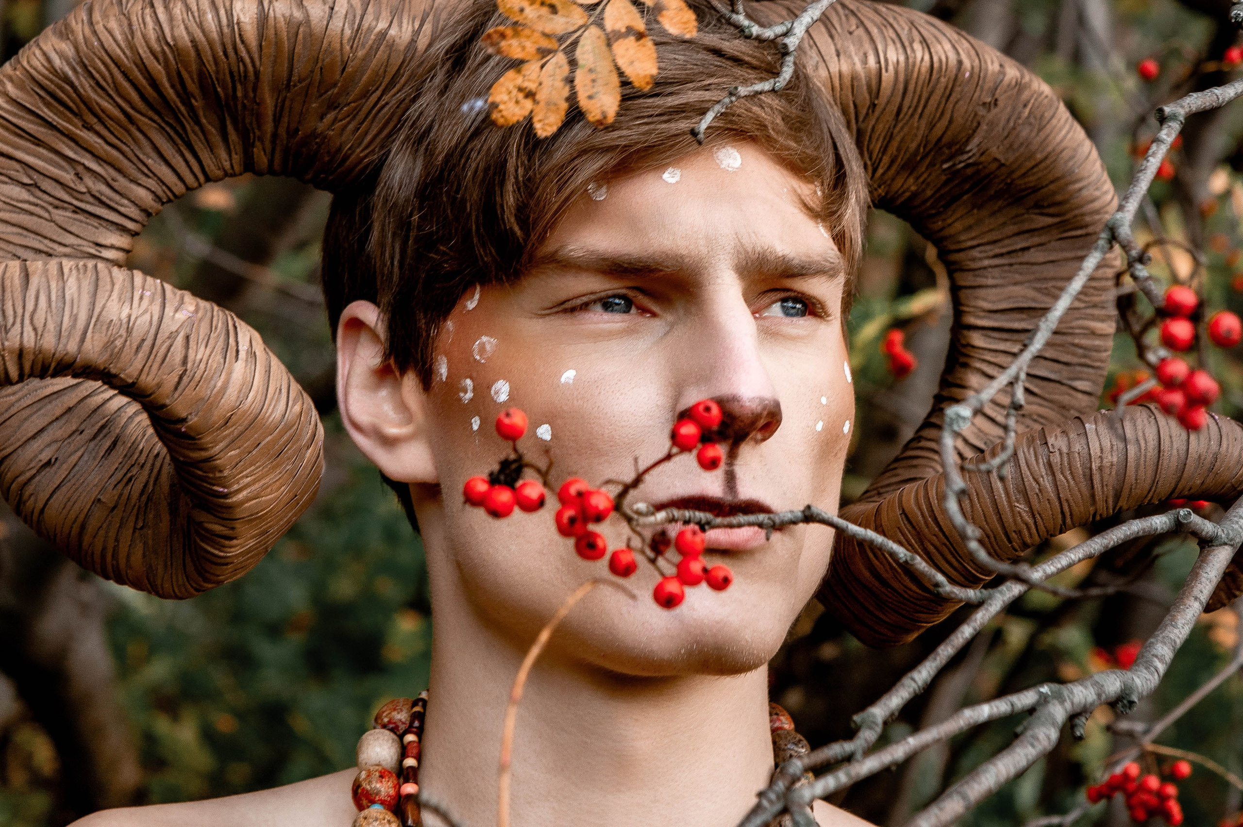 Волшебный лес. Фотограф Екатерина Голицына