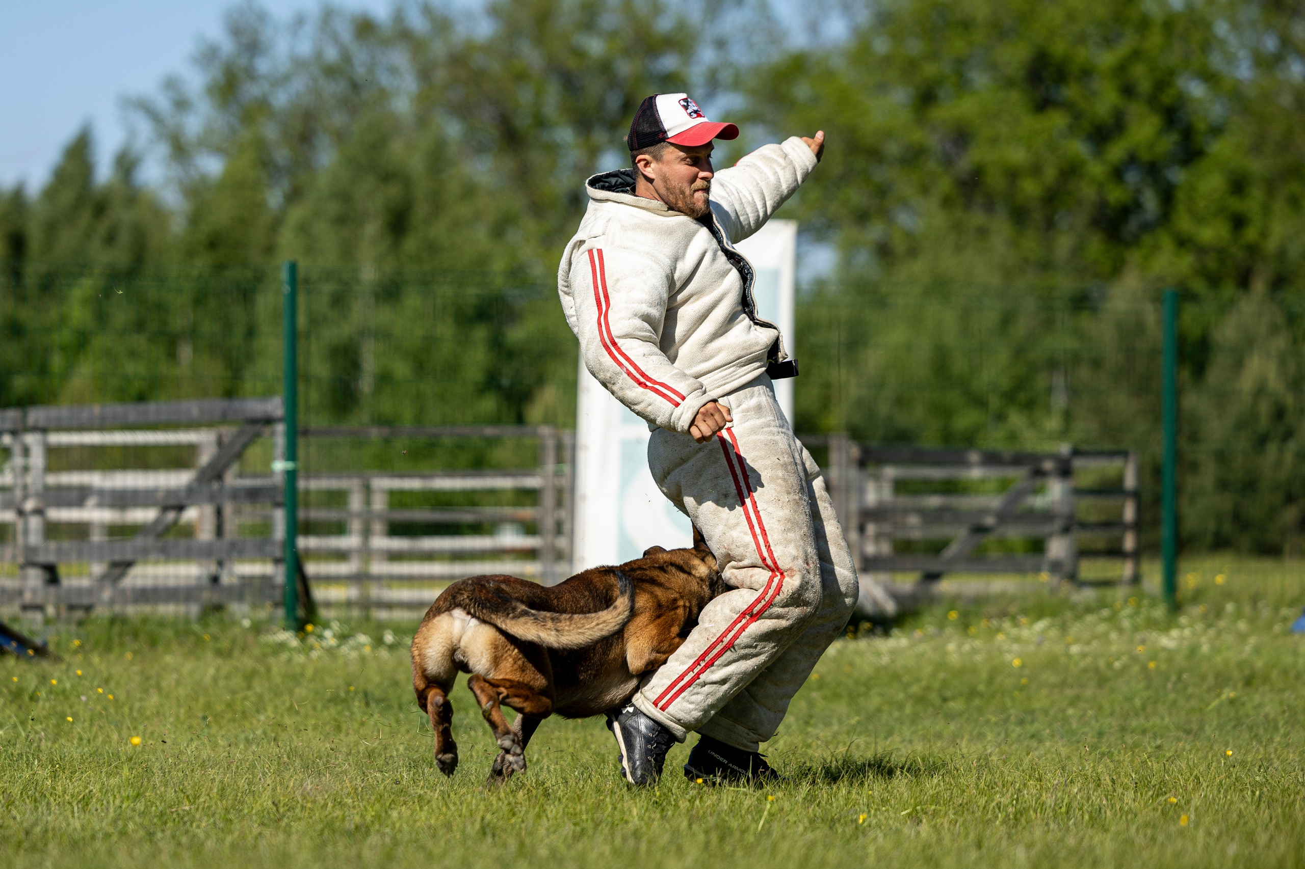 Испытания по мондьорингу в Нижнем Новгороде. Фотограф-анималист Анна Маринич