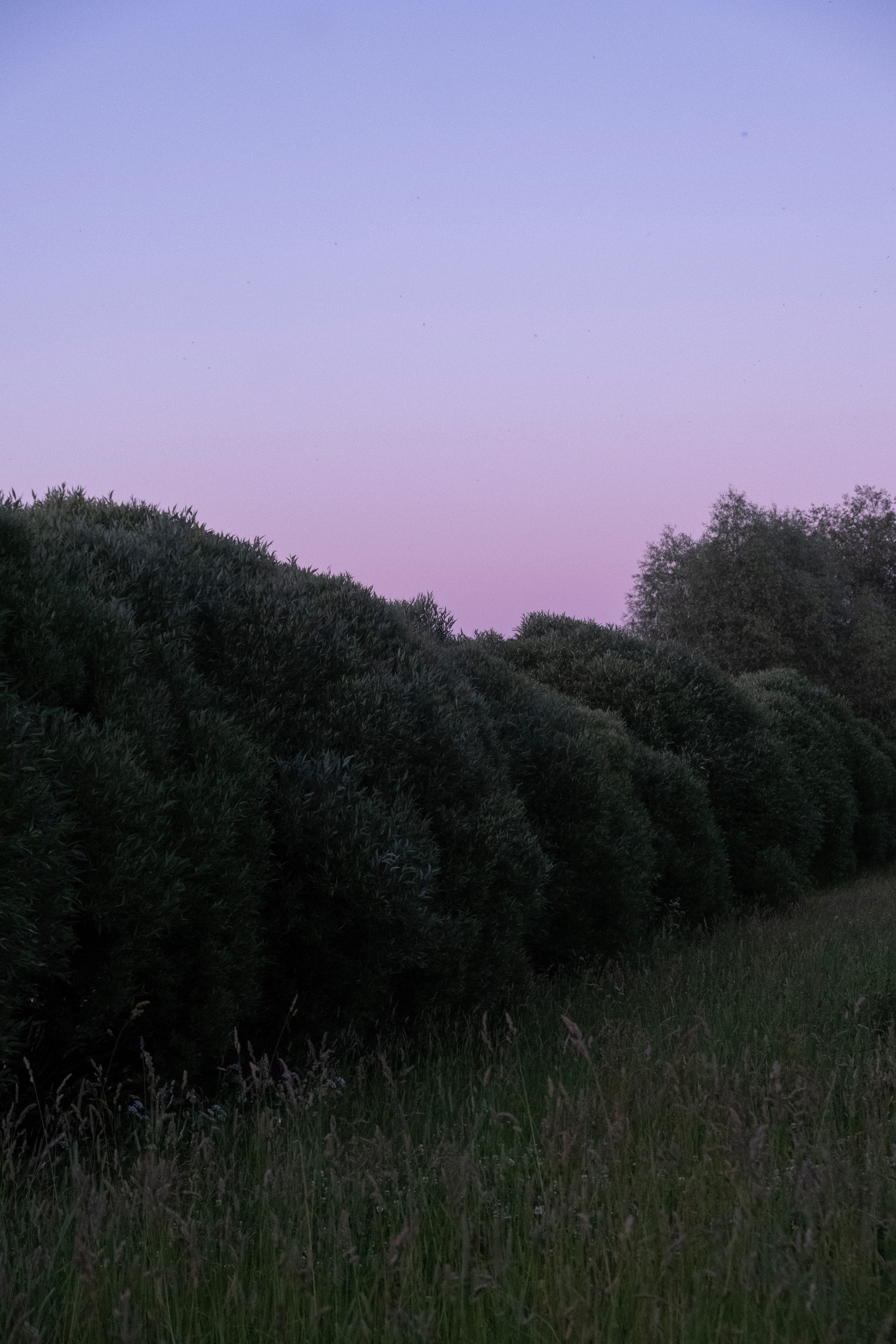 Художественные фото. Креативный фотограф в Москве Арапова Виталия