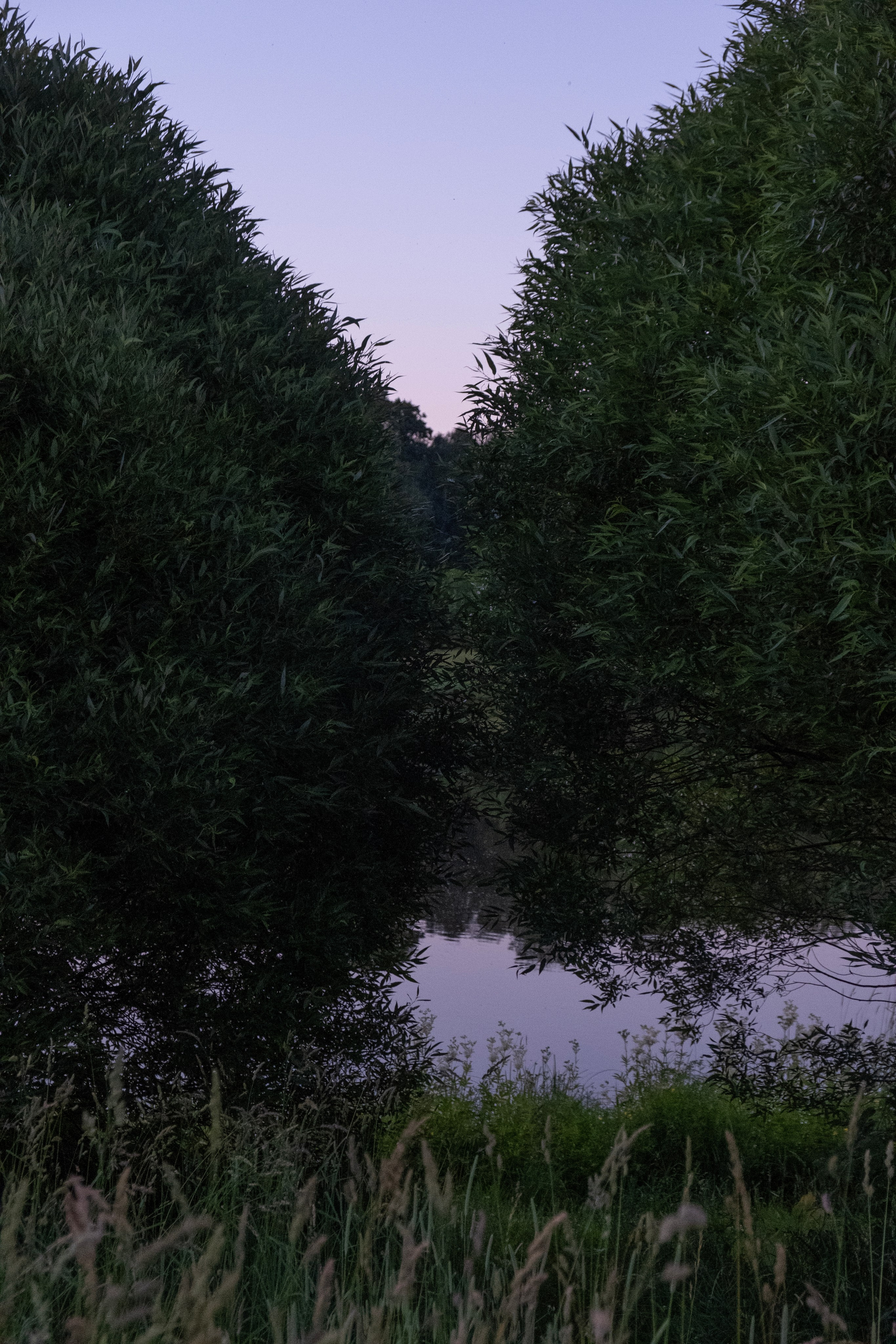 Художественные фото. Креативный фотограф в Москве Арапова Виталия