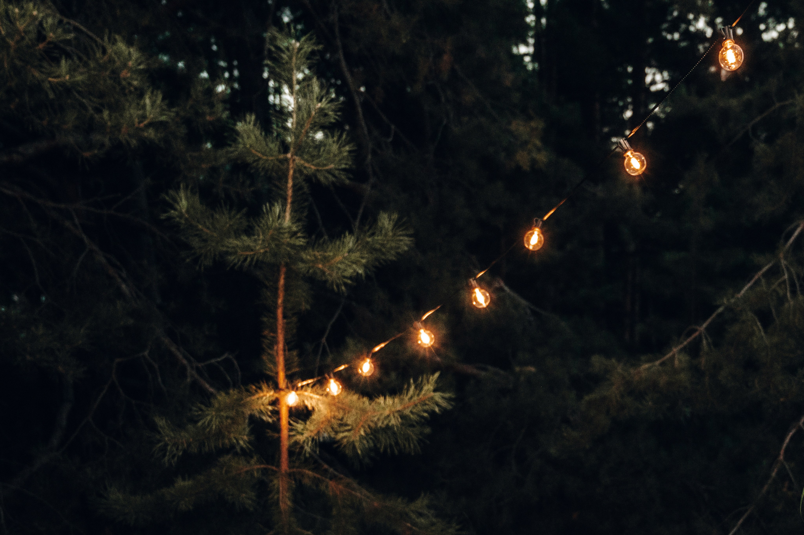 Эльфийские мотивы. Семейный и свадебный фотограф в Самаре