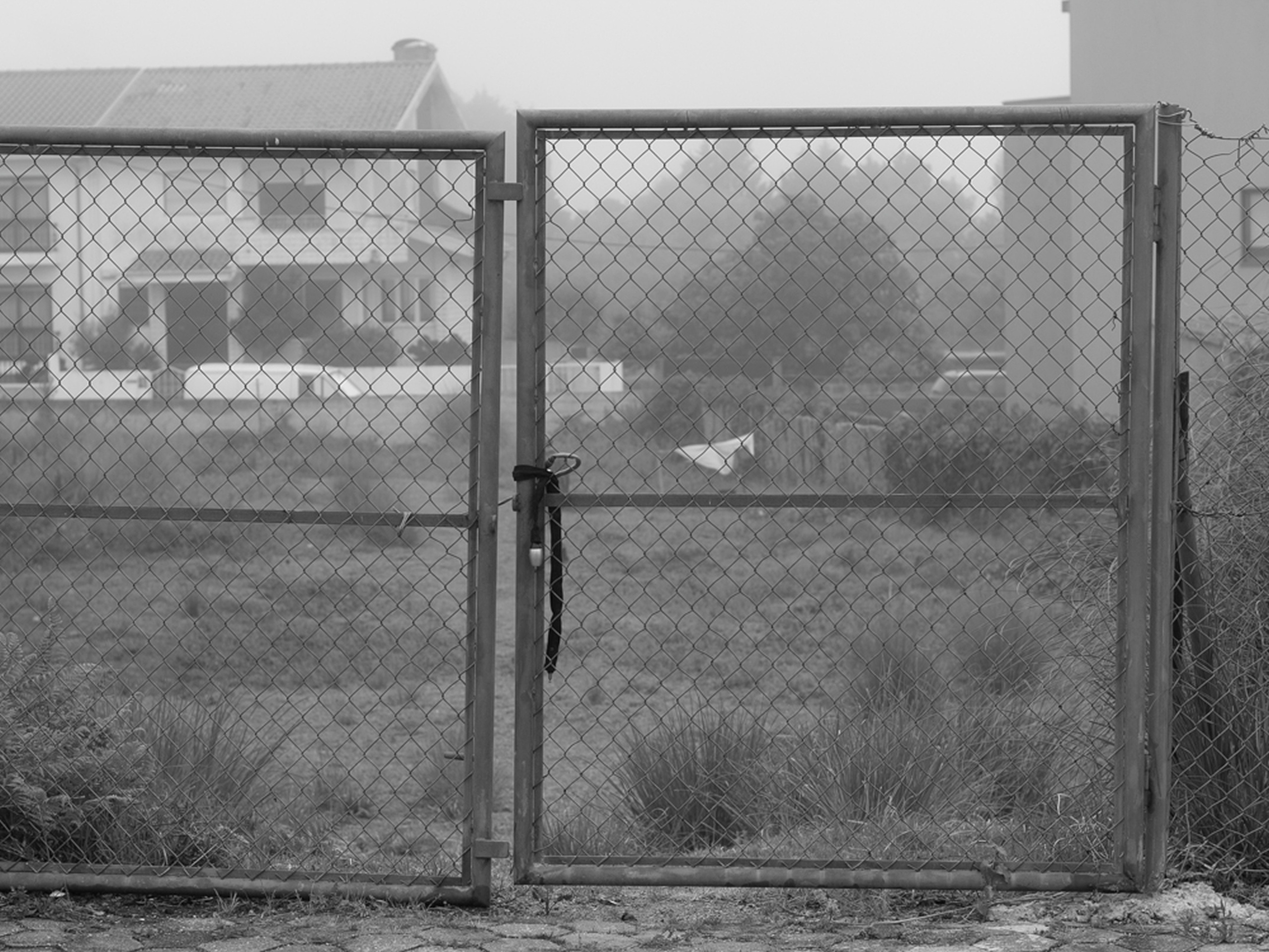 The veil. Ula Aldokhina