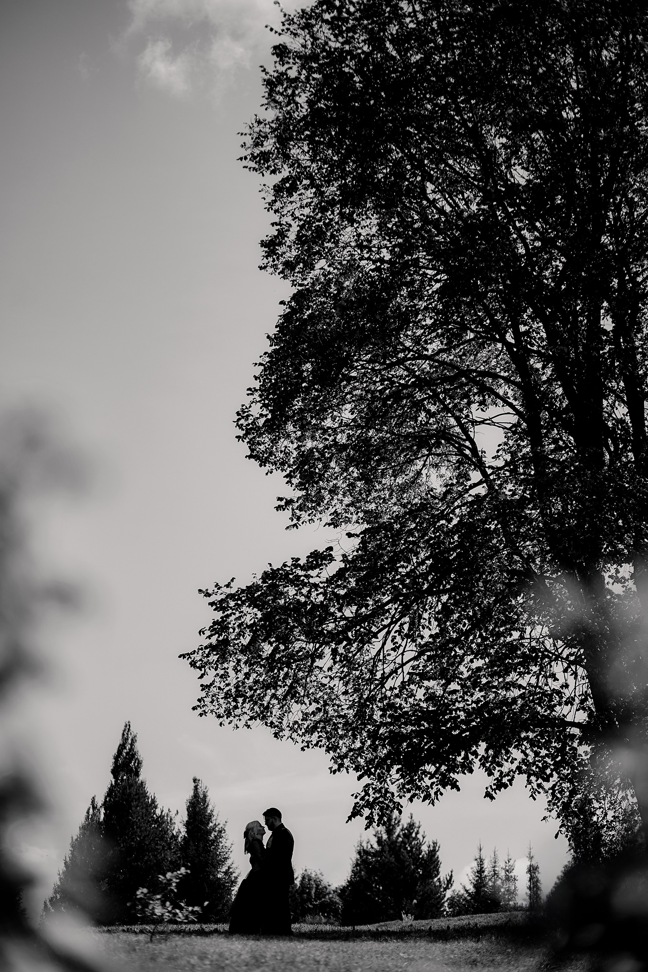 Тимур и Ольга. Свадебный фотограф Чайковский