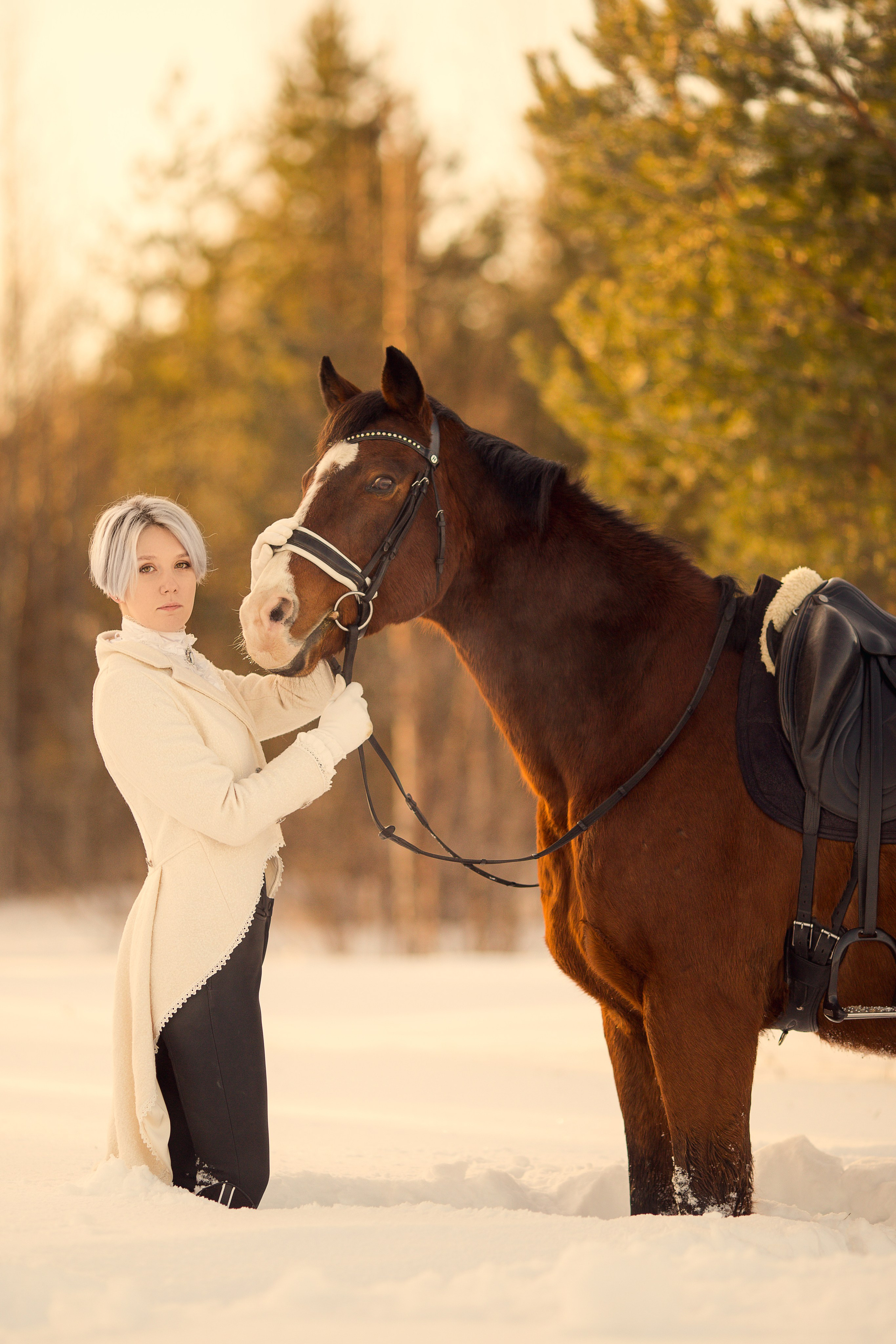 Фотосессия с лошадью зимой на фоне ёлок